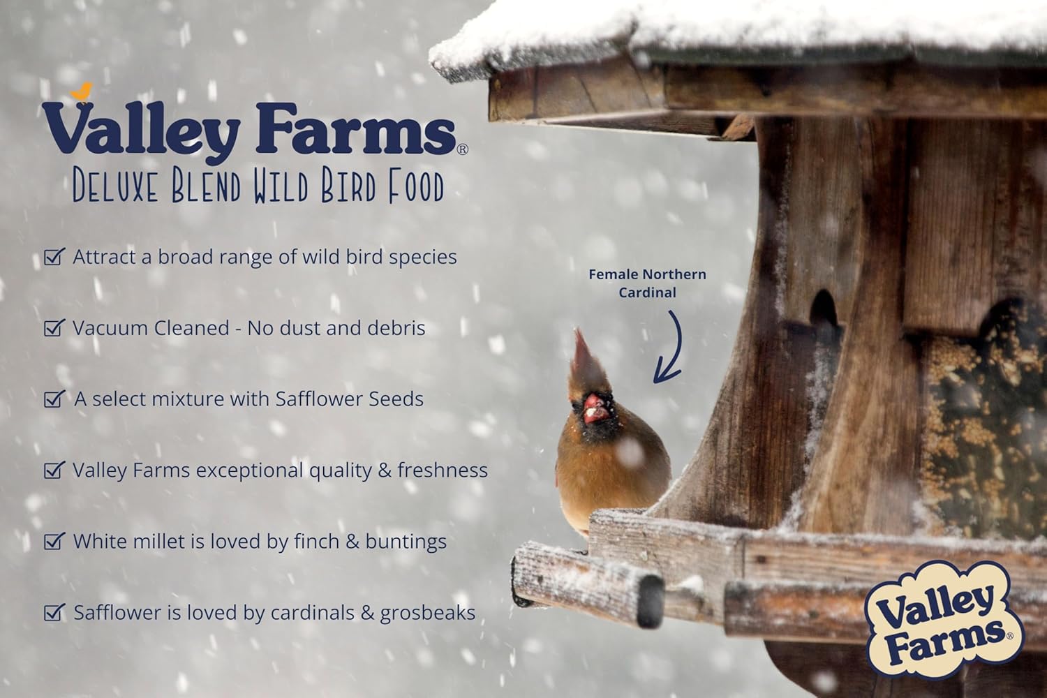 Valley Farms Deluxe Blend (4 LB) Wild Bird Food for Outside Feeders with Black Oil Sunflower Seed, Safflower Seed for Birds - Select Birdseed