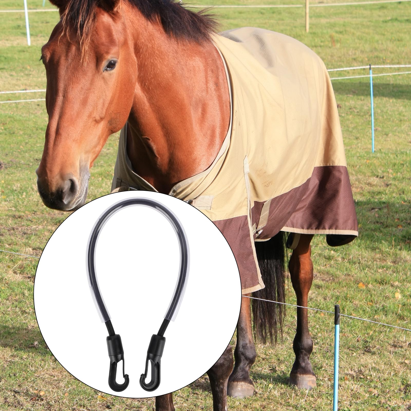 6pcs Sangles Cuisse pour Couvertures Cheval avec Sac Rangement, Sangle Queue Élastique Réglable 55cm avec Clips à Double Extrémité pour Couvertures et Draps d'Hiver Chevaux (Noir)