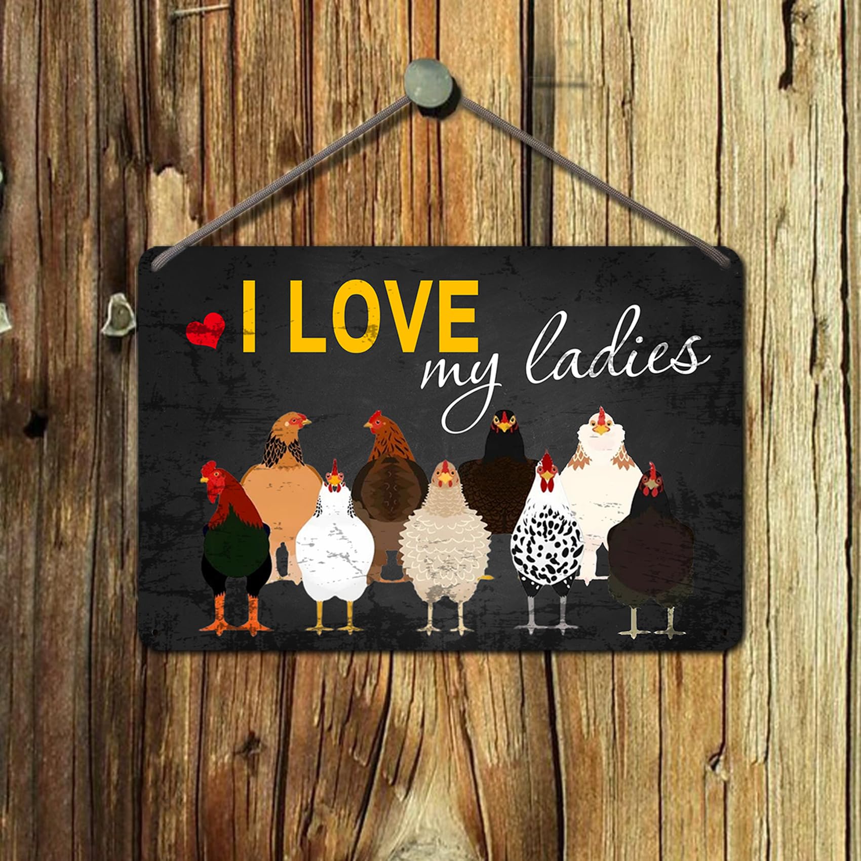 5 Targhe Metalliche Retrò Con Galline - Cartelli Decorativi 20x30 Cm Per Pollaio, Stile Country Vintage - Foto 2