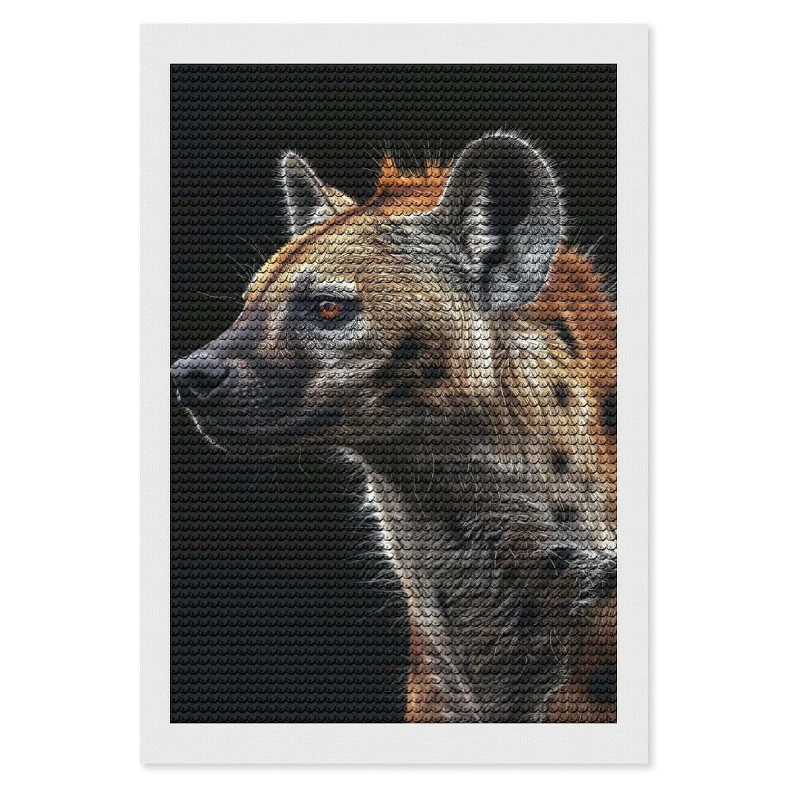 Junmoney Hyena Diamond Art Canvas 8"x12", for Adults, Pleasing Wall Art Project, Modern Decor, Gift Idea, Nice Detail and Sparkle