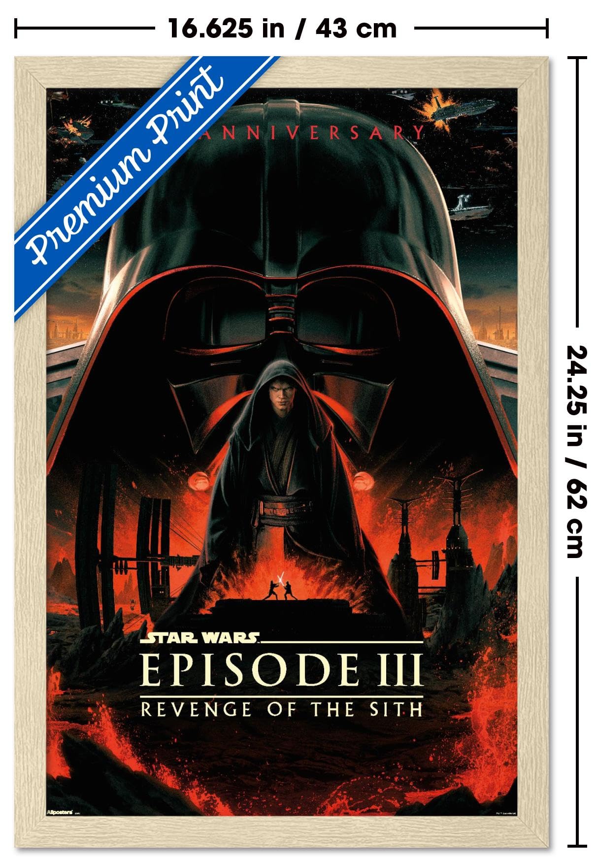 Amazon.com: Trends International Star Wars: Revenge Of The