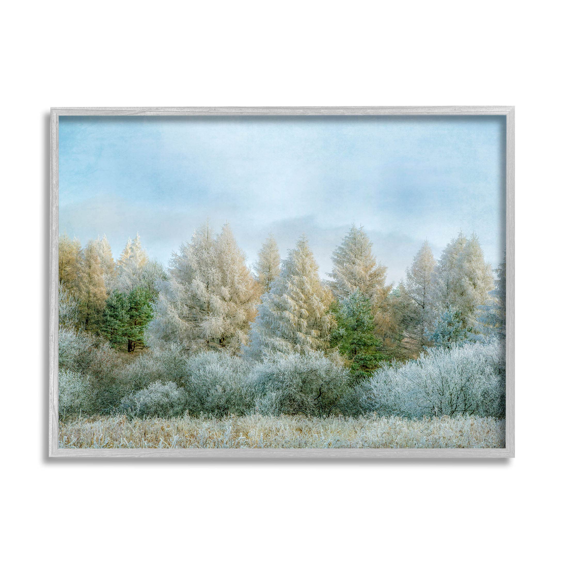 Stupell Industries Woodland Grove Forest Trees Giclee Framed Wall Art, Design by Brooke T. Ryan