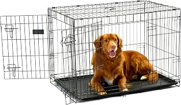 Carlson Pet Products Double Door Metal Dog Crate with Divider, Intermediate 36" Dog Crate for Medium Dogs, Foldable Collapsible Dog Kennel with Removable Tray, Wire Dog Cage for Training & Travel