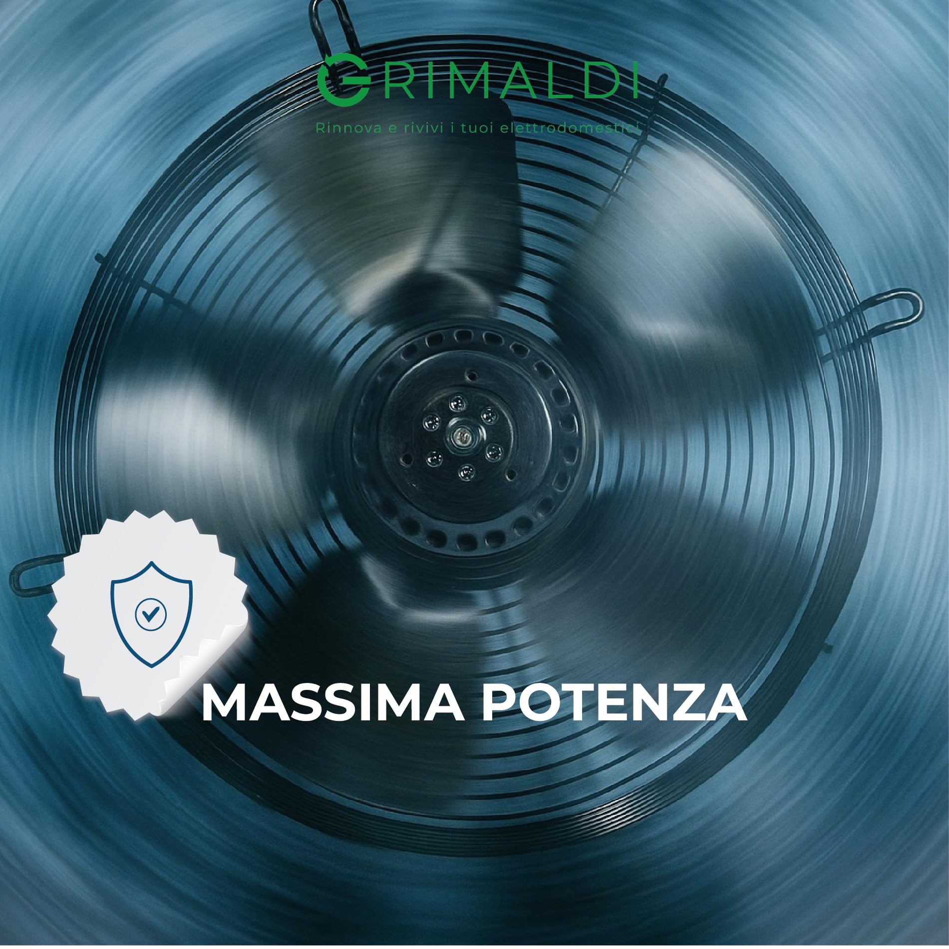 G GRIMALDI Ventilatore Assiale Aspirante Ø 250 mm Compatibile 23510013 — 220V 1400rpm — Flusso Aria Potente — Ricambio Alternativo per Estrattori e Refrigerazione