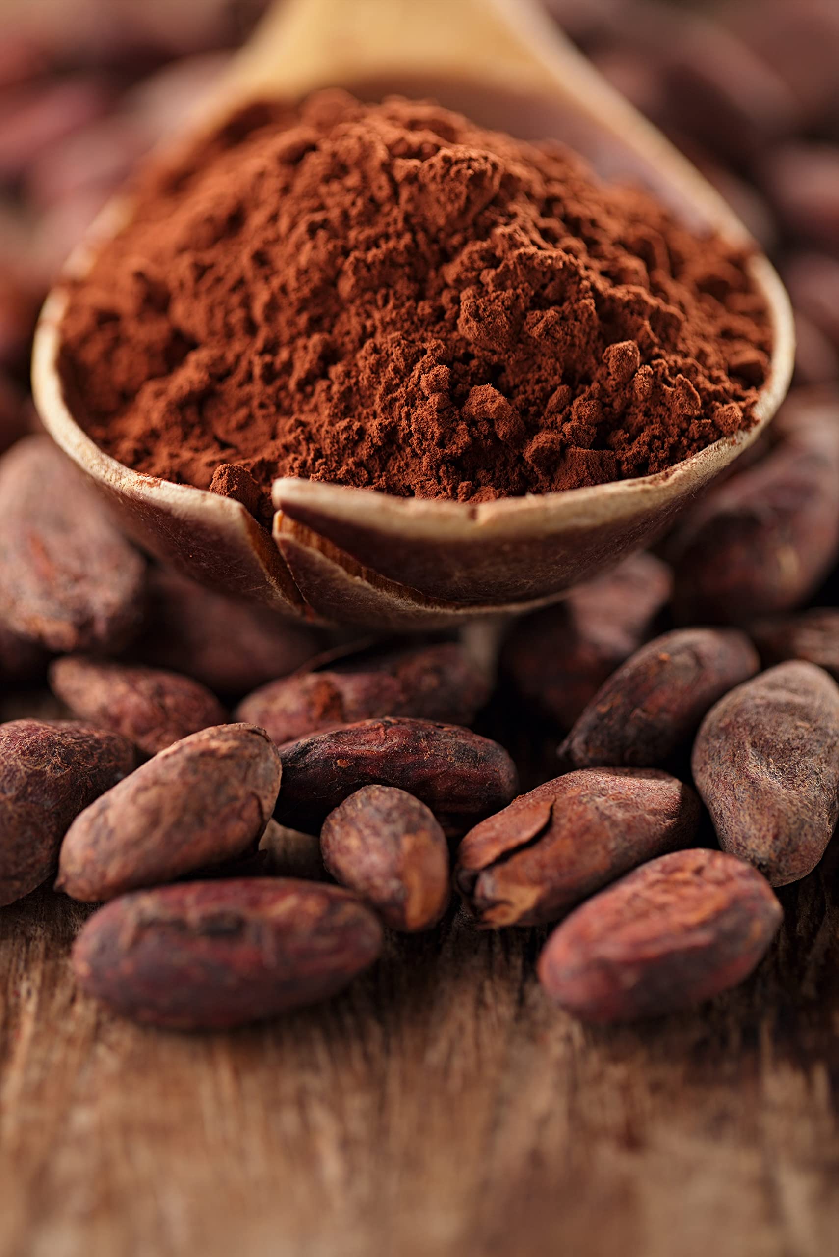 Mynatura Bio Kakao, stark entölt I Kakaopulver I Cacao I entölt I Backen I Getränk I Kochen I Rein pflanzliches Pulver I Vegan I Im Beutel (3x 1000g)