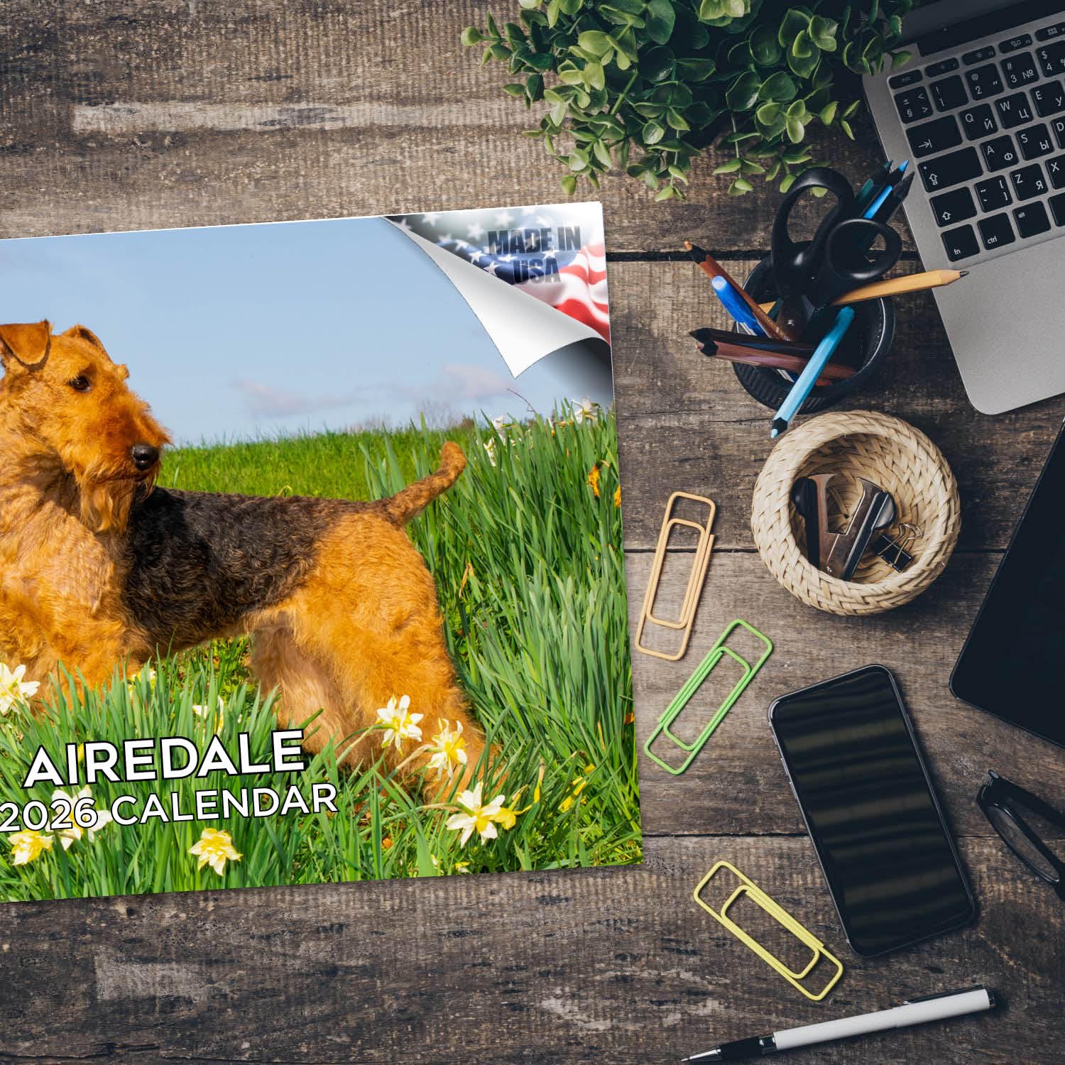 Calendario 2024 2025 Airedale – Calendario mensual de pared de raza de perro – 12 x 18 pulgadas abierto – Papel grueso que no se corre – Regalo – Calendario académico para profesores organizando y