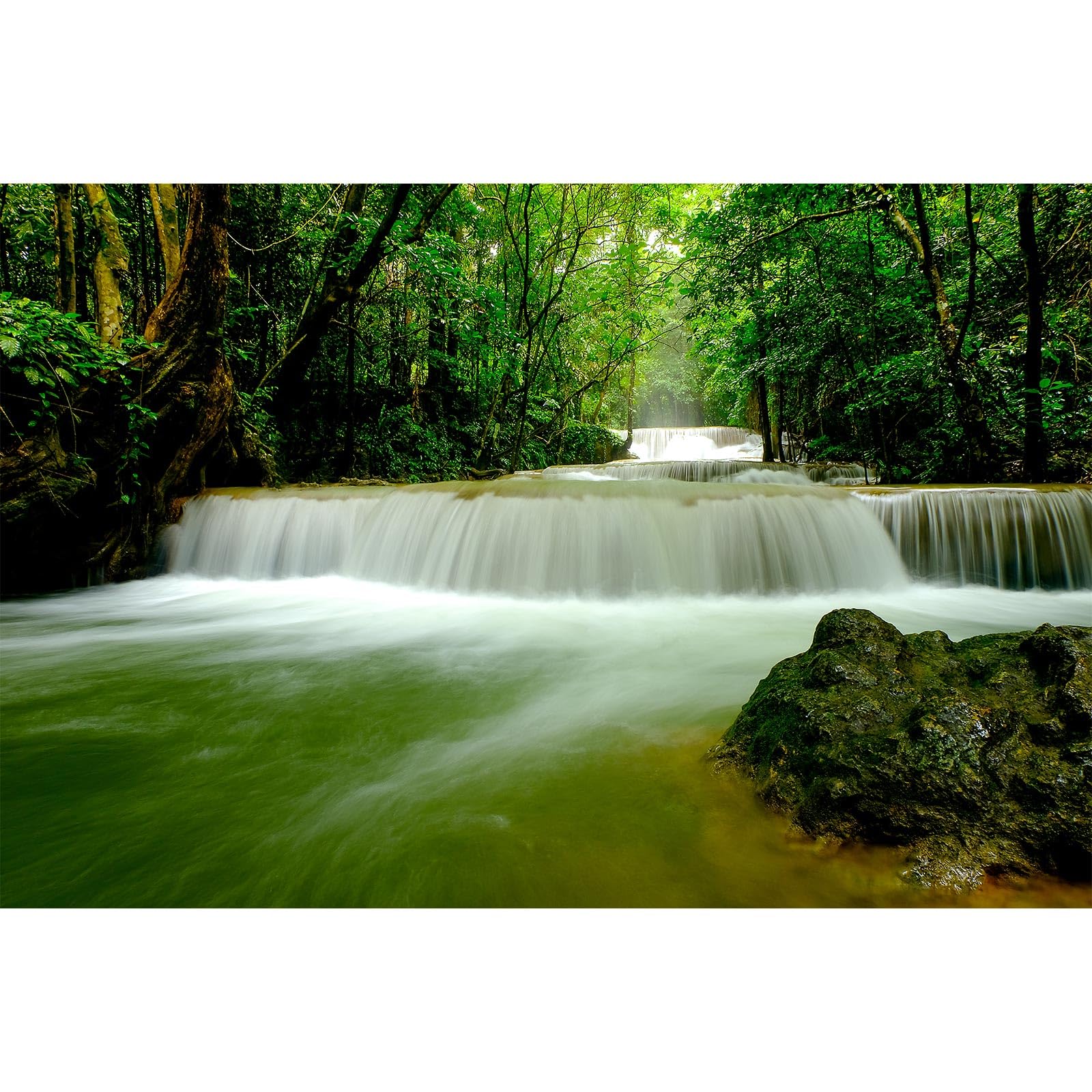 Waterfall Aquarium Background Deep Rainforest Natural Landscape Terrarium Background Falls Green Jungle Plants Fish Tank Background Waterfall Forest Reptile Background Wallpaper Vinyl 48x18in