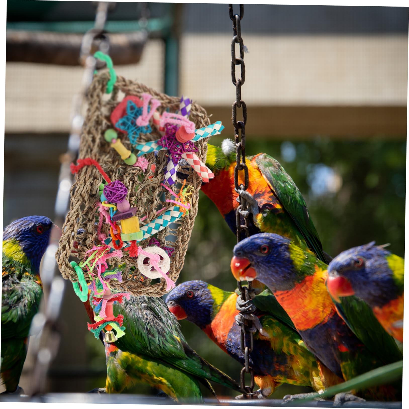 minkissy Lot De 2 Jouets À Mâcher pour Oiseaux Filet Descalade pour Oiseaux Jouets pour Cage À Perroquets Matériau en Paille Sûr Jouet De Divertissement pour Perroquets