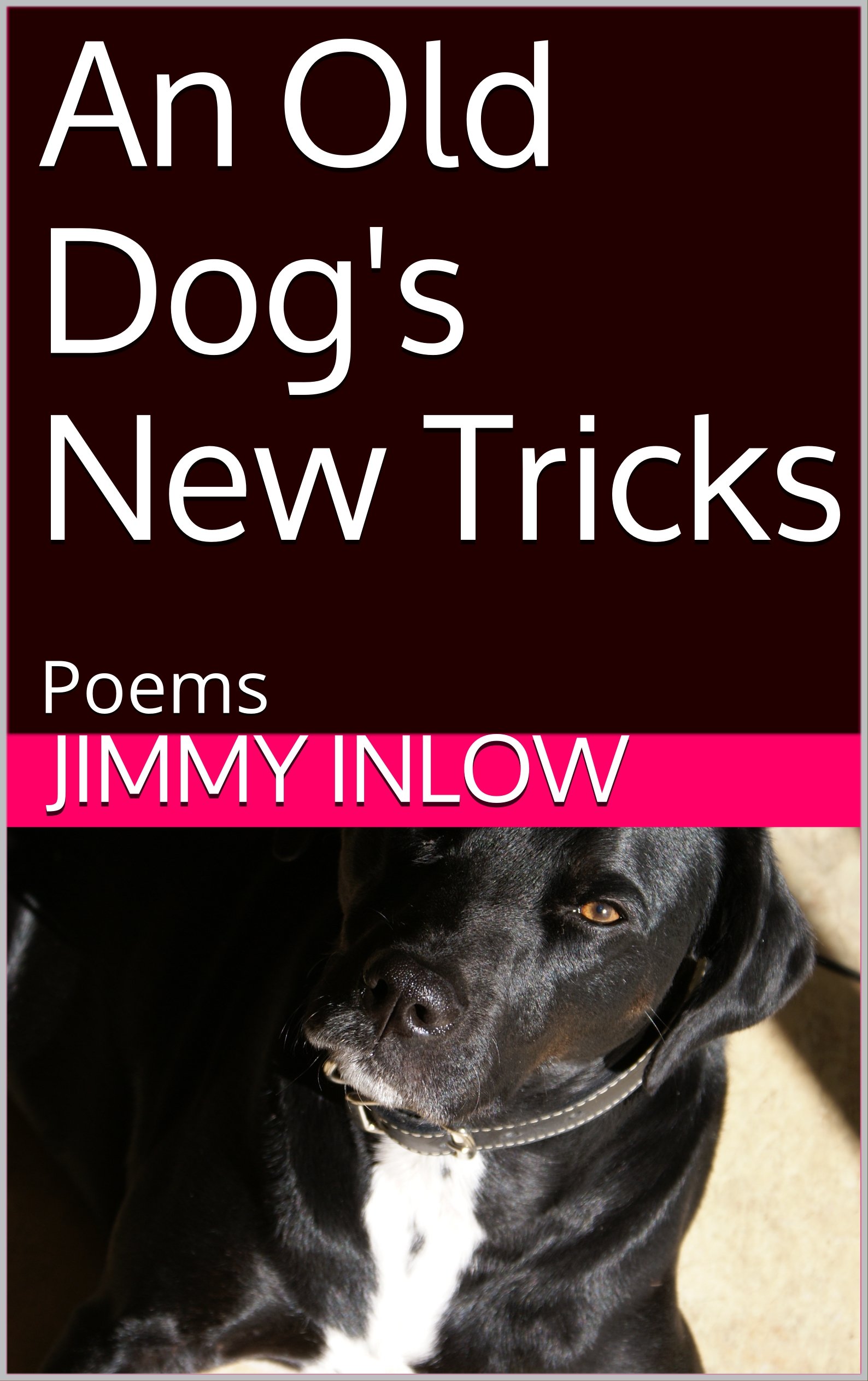 An Old Dog's New Tricks: Poems