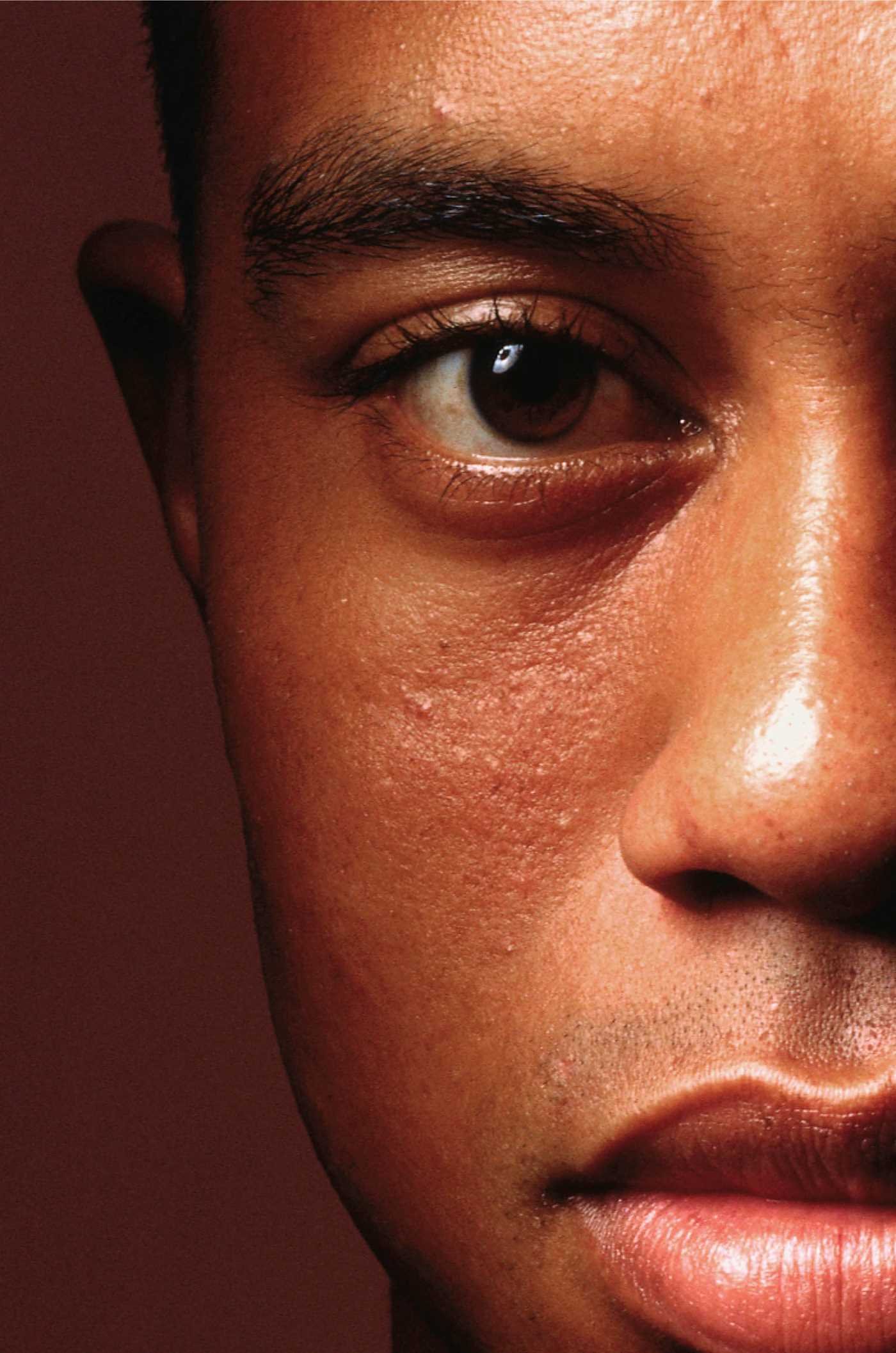 Buy Tiger Woods — BookShops.in