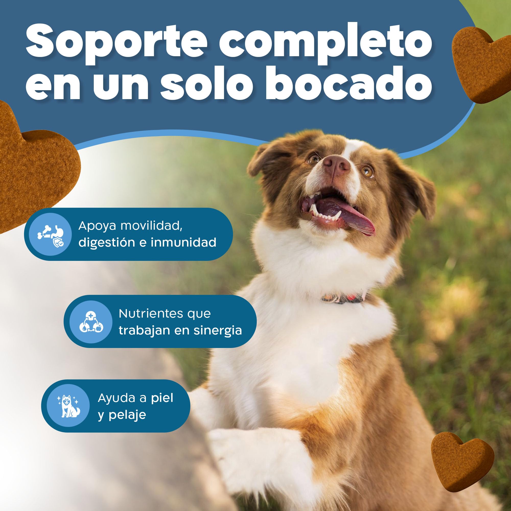 Multivitamínico 17 en 1 Perros 120 Bocados Glucosamina Probióticos 360g | Suplemento completo para perros 17 nutrientes un solo bocado textura blanda con toma diaria con glucosamina y colágeno.