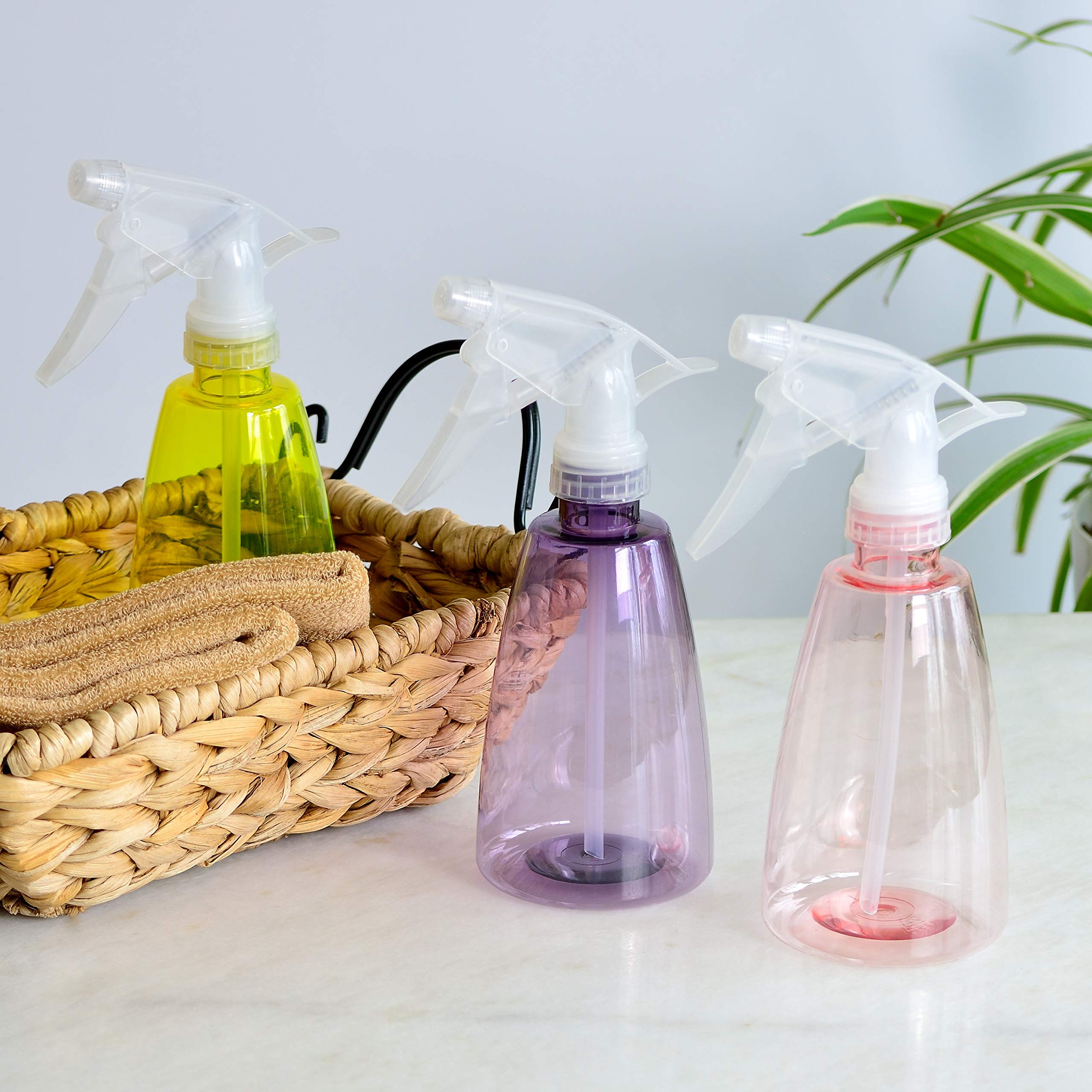 View 5