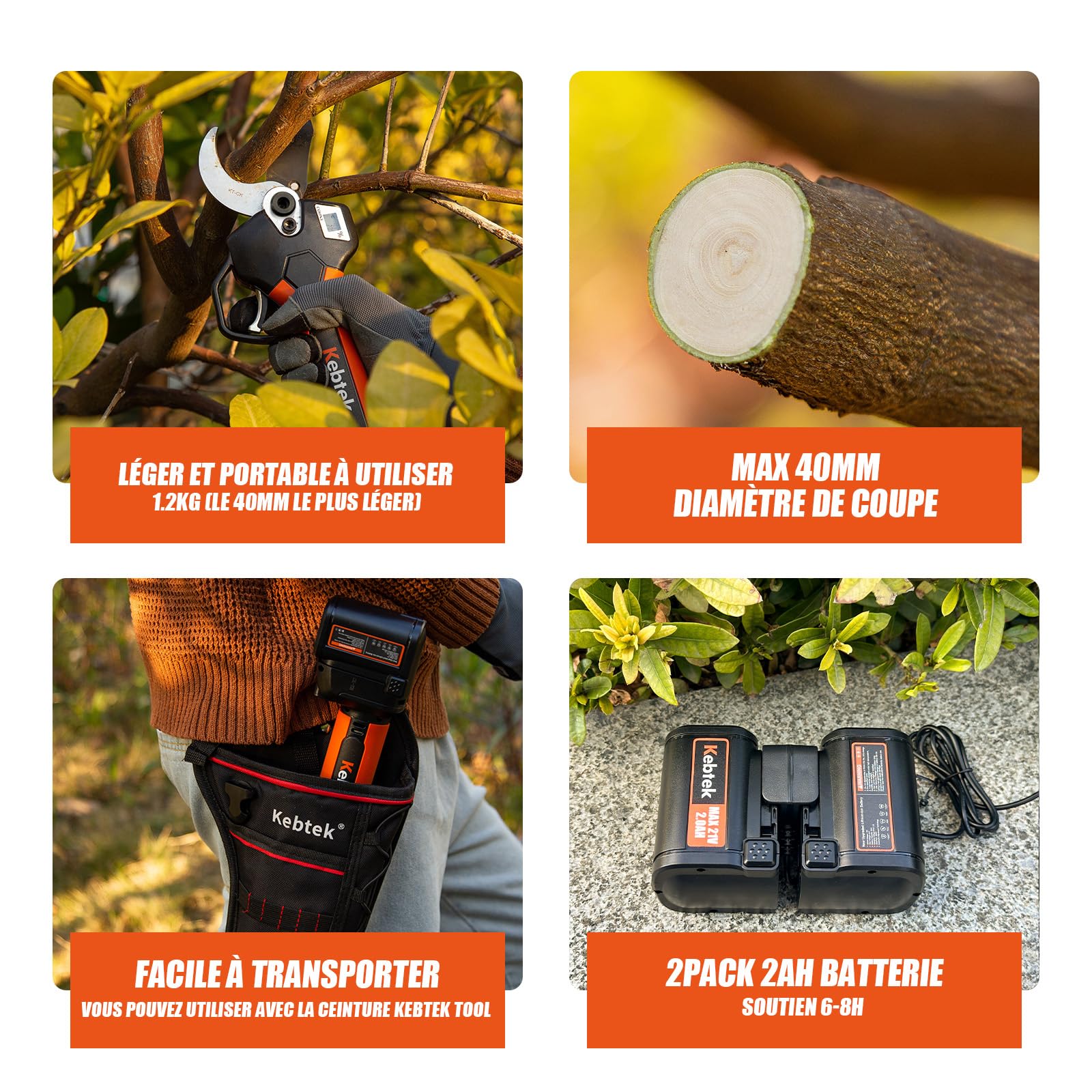 Kebtek Sécateur électrique avec Perche Télescopique Kit - Professionnel Sécateur à Batteries - Moteur Sans Balais 18 V - Diamètre de Coupe 40mm, 2 Pack Batteries
