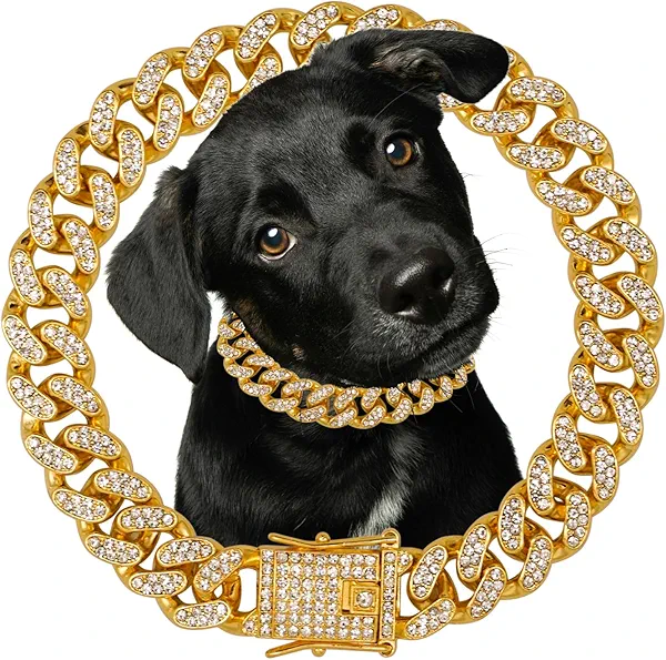 Dog Chain Diamond Collar 18K Gold Plated Walking Metal Chain 12 mm Wide Necklace with Secure Buckle Pet Cuban Style Collar Jewelry Accessories for Small Medium Large Dog Cats (12inch, Gold)
