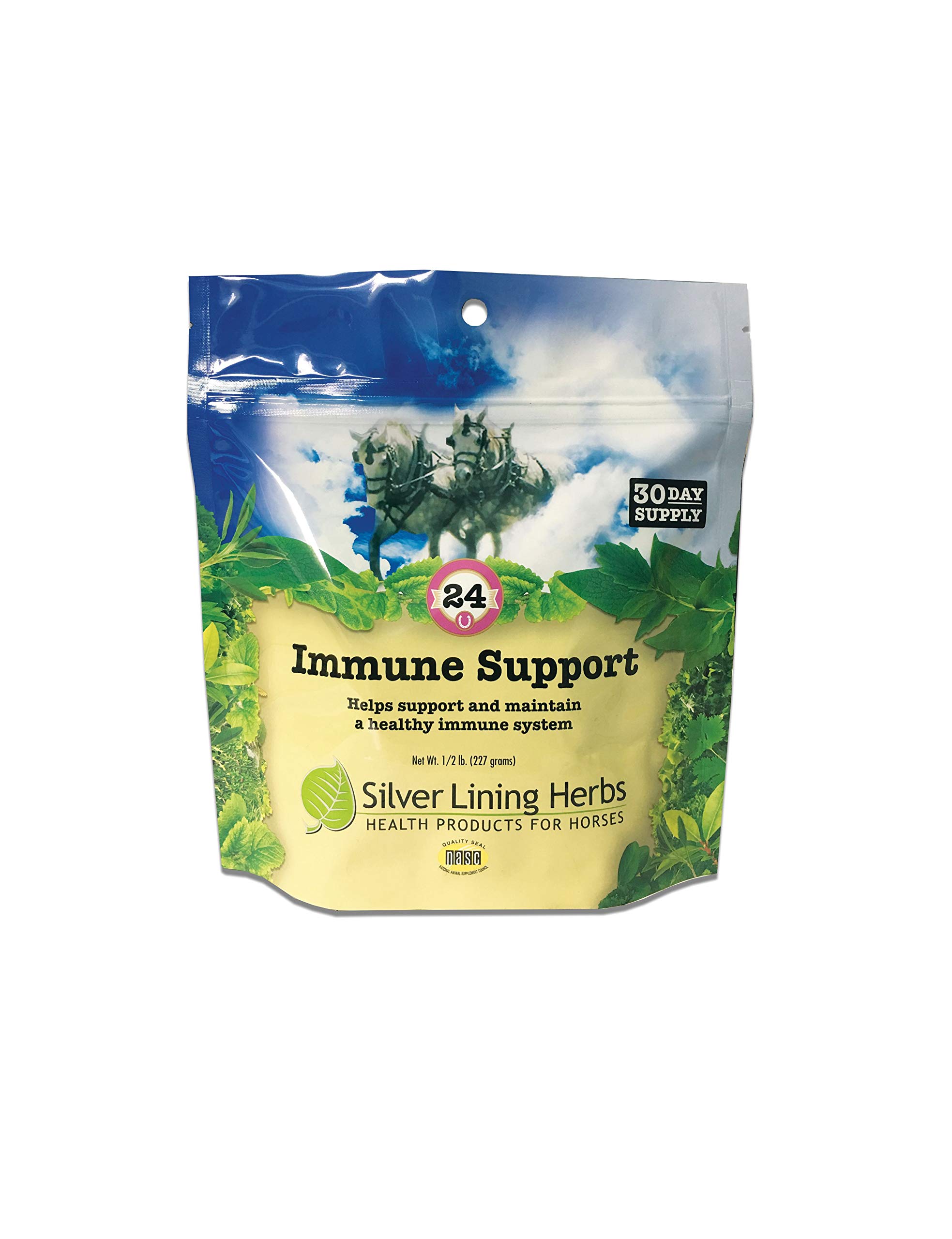 Silver Lining Herbs 24 Equine Immune Support - Natural Herbal Aid to Boost Horse Immune System, Stamina, & Endurance - Herbal Health Support for Horses - Natural Immunity Booster for Horses - 8 Ounces