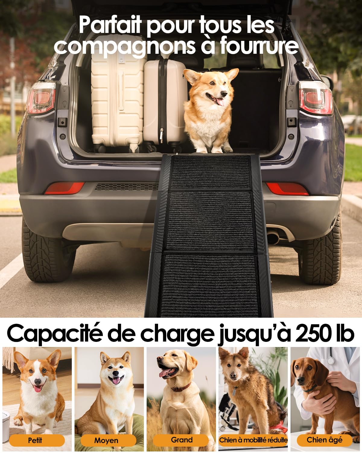 Derimkcoa 160 cm Rampe de voiture pliable pour chien avec tapis antidérapant