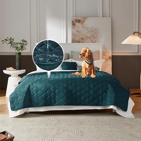 Allisandro Waterproof Pet Couch Protector: The Ultimate Couch Guardian