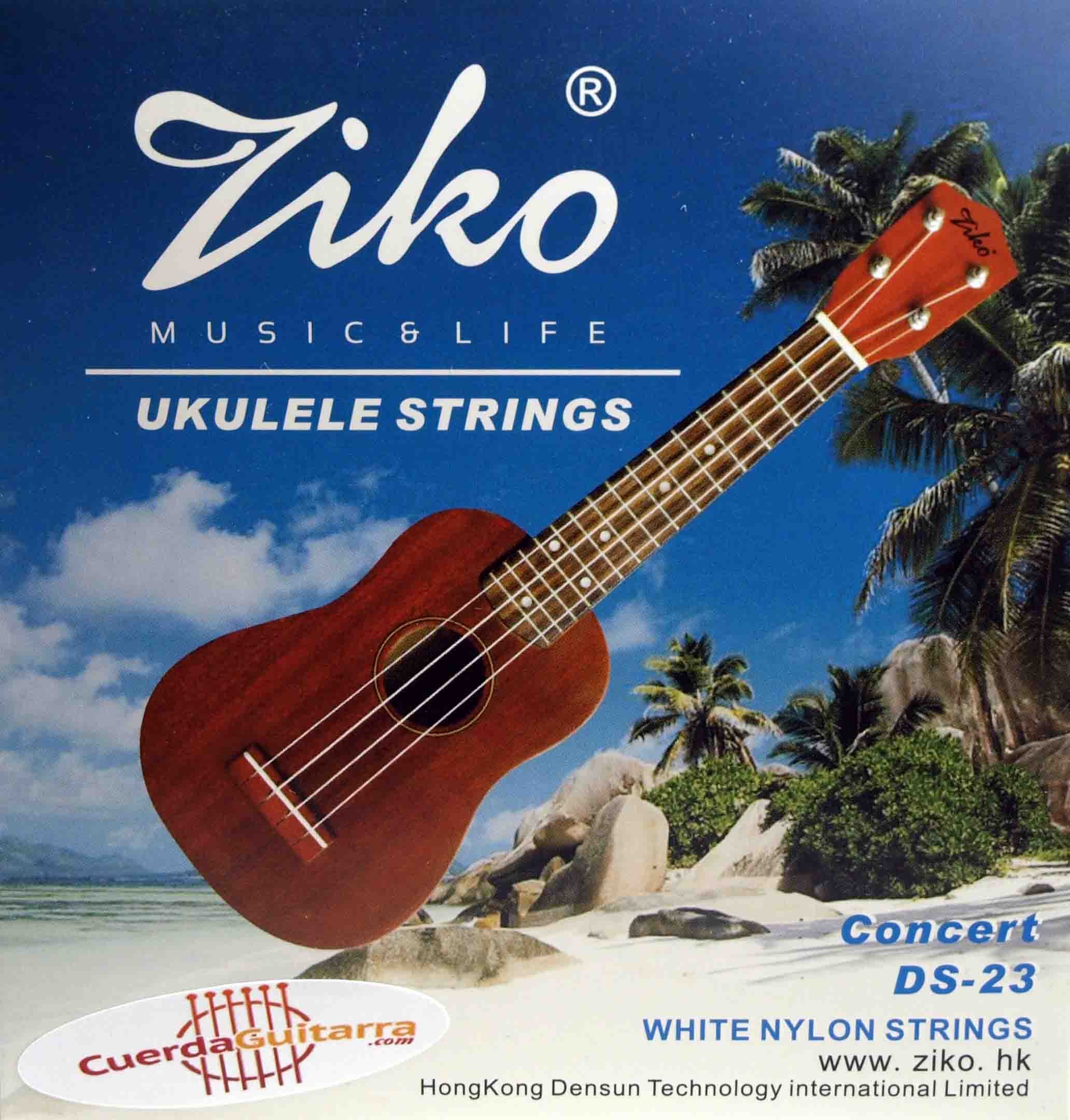 CartuchoRecargable Guitar Strings (DS-23)