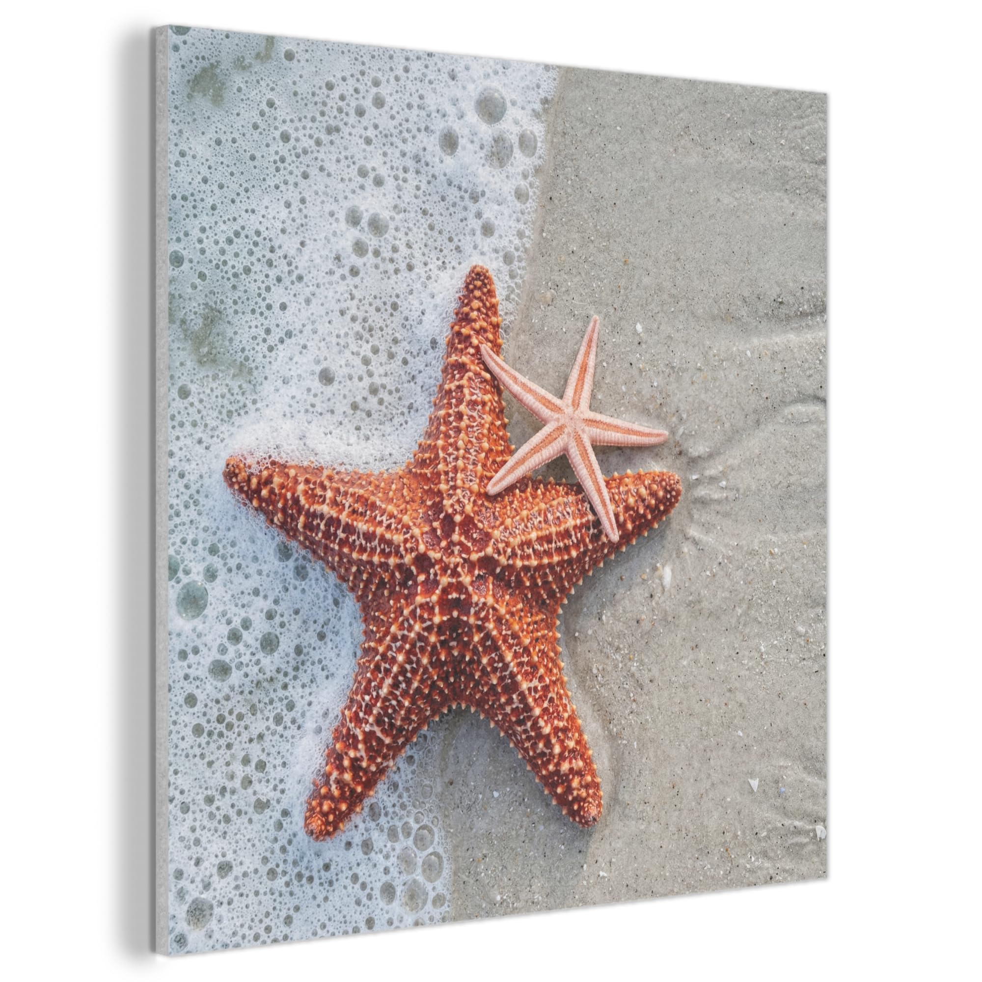 MuchoWow© Felt Panel 80x80 cm Room Style Piece Wallfillers Visual Display Decoration Wall Art Starfish - Beach - Sea