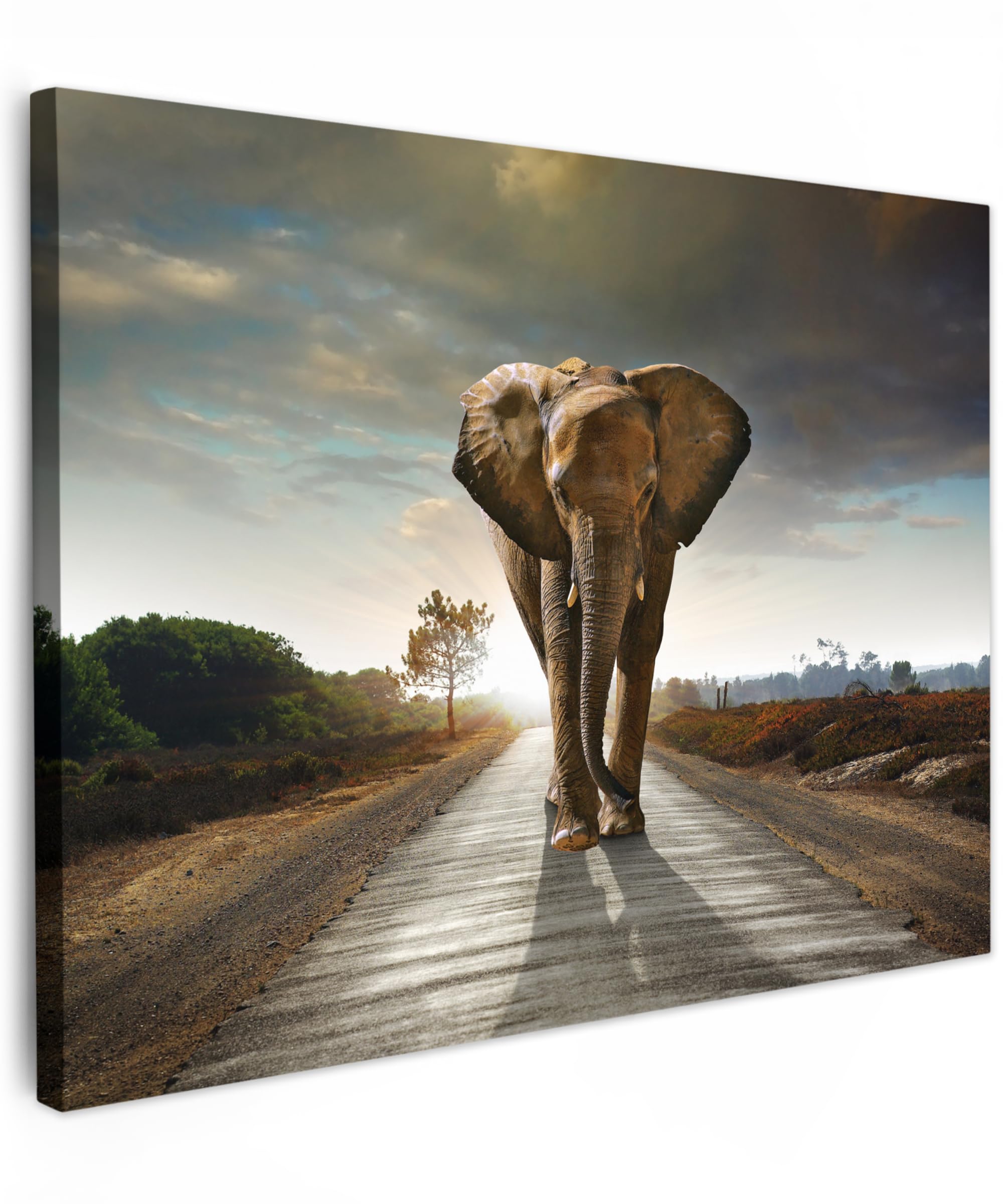MuchoWow© Wandbilder 80x60 cm Schlafzimmer Home Deko Wohnung Bild Tier Wohnzimmer Fotoleinwand Wand Bilder Tierbilder auf Leinwand Wall Decor Wanddeko Waldtiere - Elefant - Sonnenuntergang