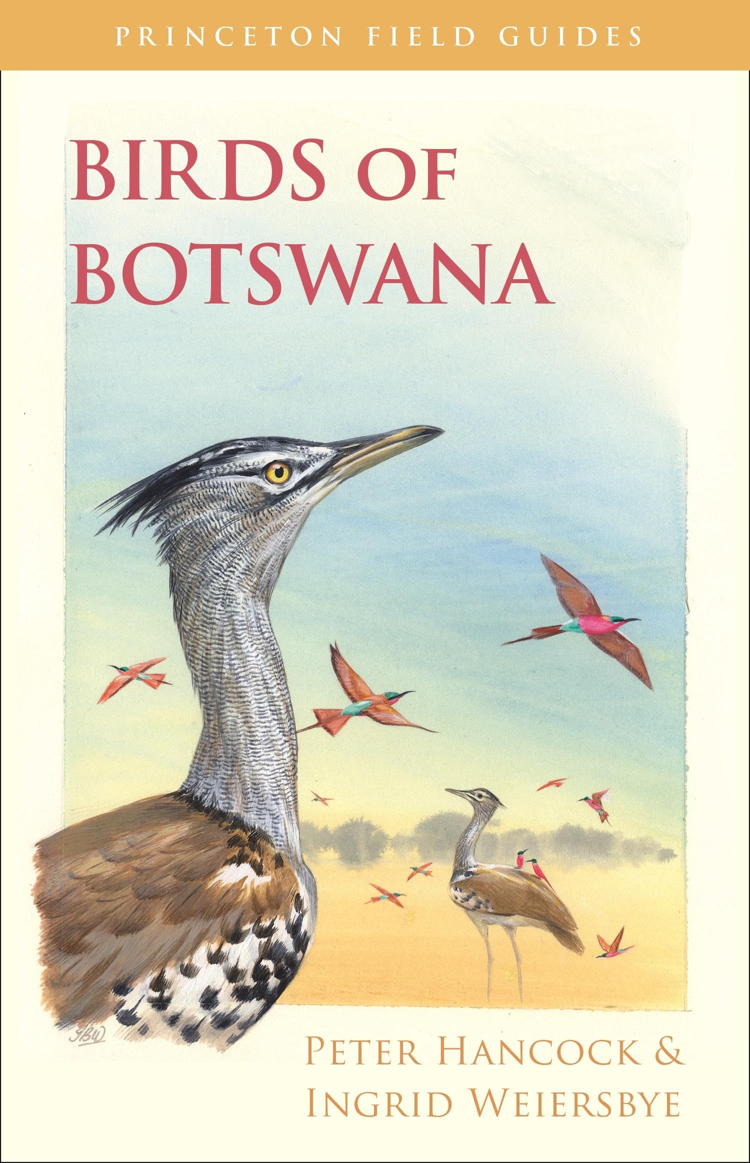 Birds of Botswana by Peter Hancock, Ingrid Weiersbye - 9780691157177