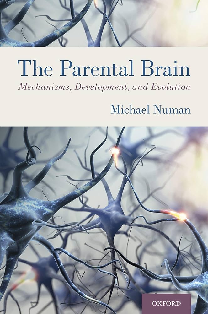 裁断済 The Parental Brain Michael Numan 裁断済 The Parental Brain Michael Numan The Parental Brain