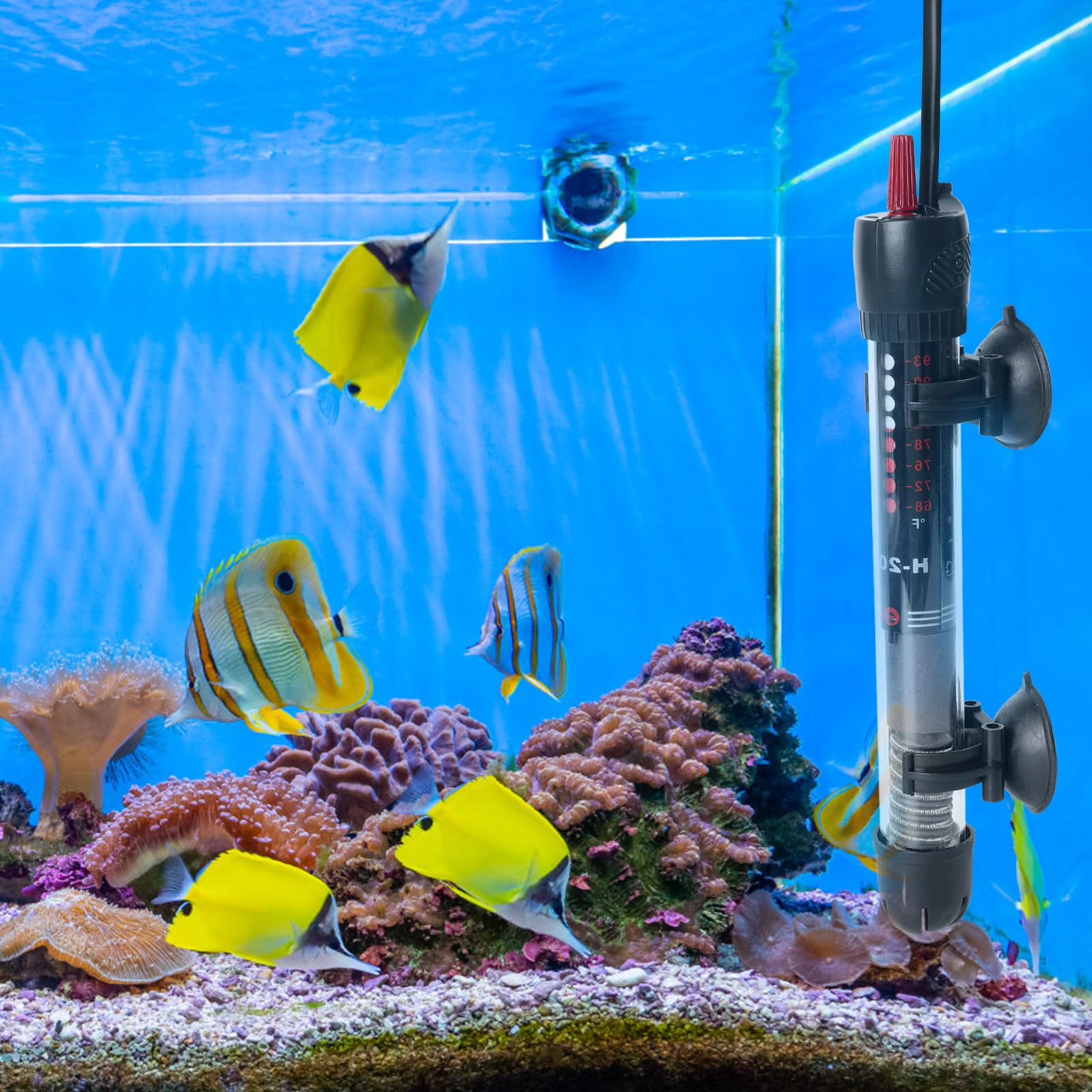 Heizstab Aquarium Heizung Mit Schutzhülle Einstellbare Thermometer Aquarienheizer für Fischtanks Thermostat für Fischtanks 60L (12-34°C, 50W)