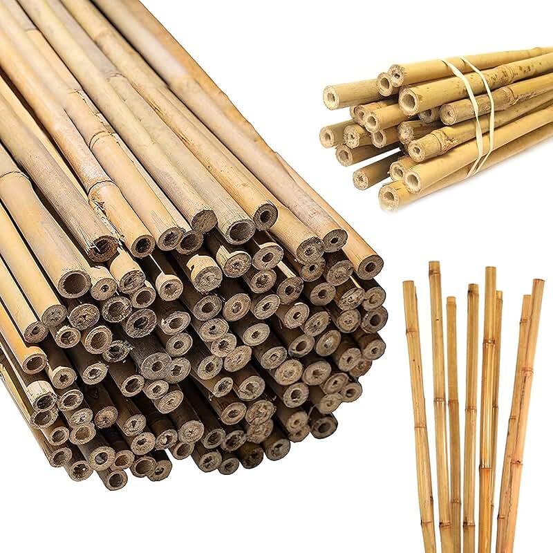 Amazon.co.uk 8ft bamboo canes
