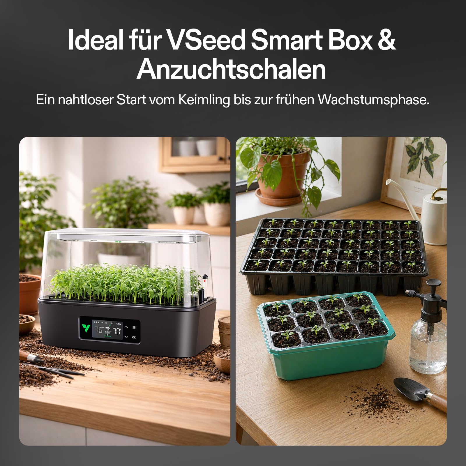 VIVOSUN Seed Rooter Anzuchtwürfel, 40 Stück Pflanzstarter für Stecklinge & Sämlinge, Schnelle Keimung & starke Wurzeln, Passend für VSeed Smart Box und Anzuchtschalen