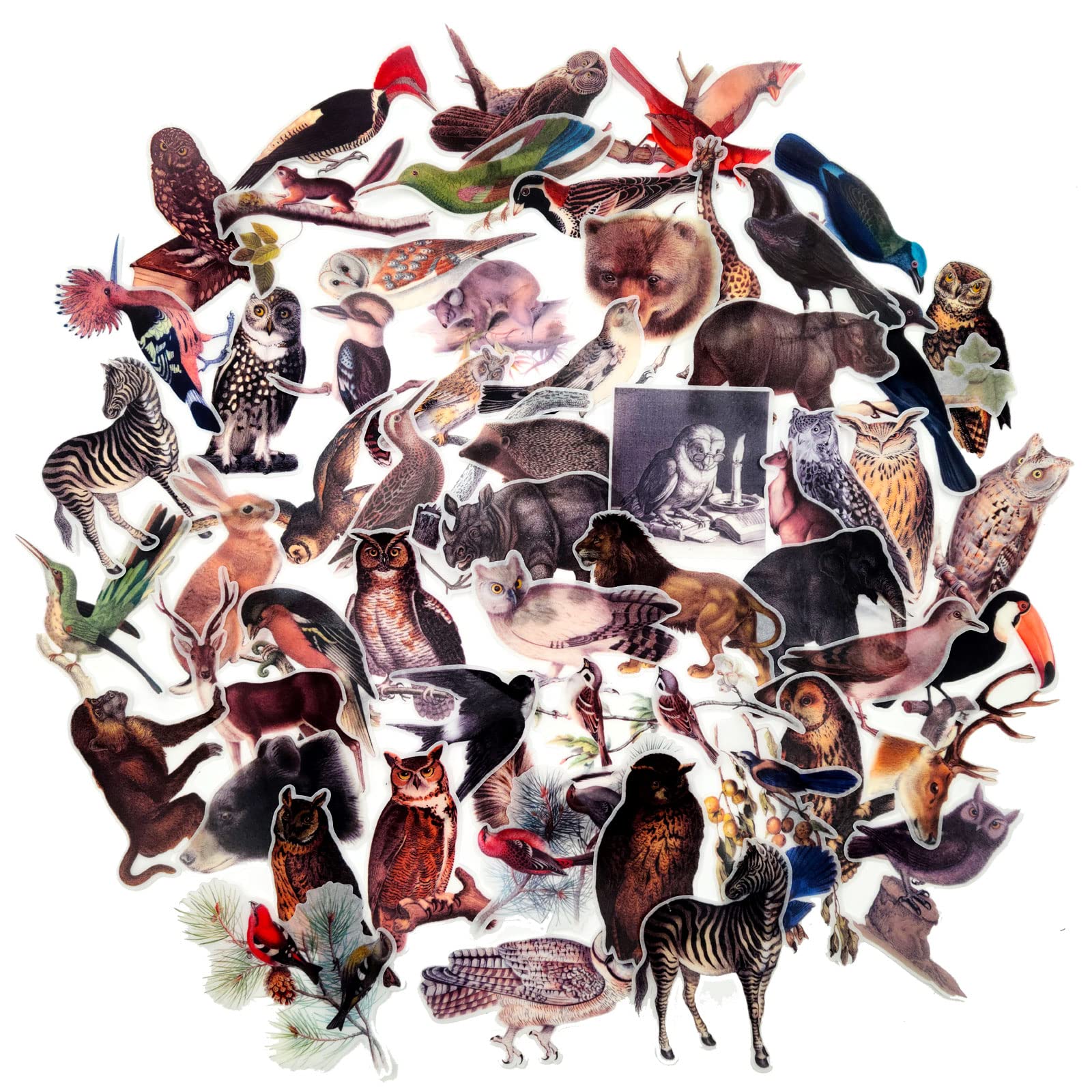 Vilikya Vintage Owl Bird Animal Stickers for Scrapbooking, Aesthetic Washi Stickers for Journaling, Retro Cool Stickers for Junk Journal, Card Making, Collage Decoupage Ephemera 57pcs