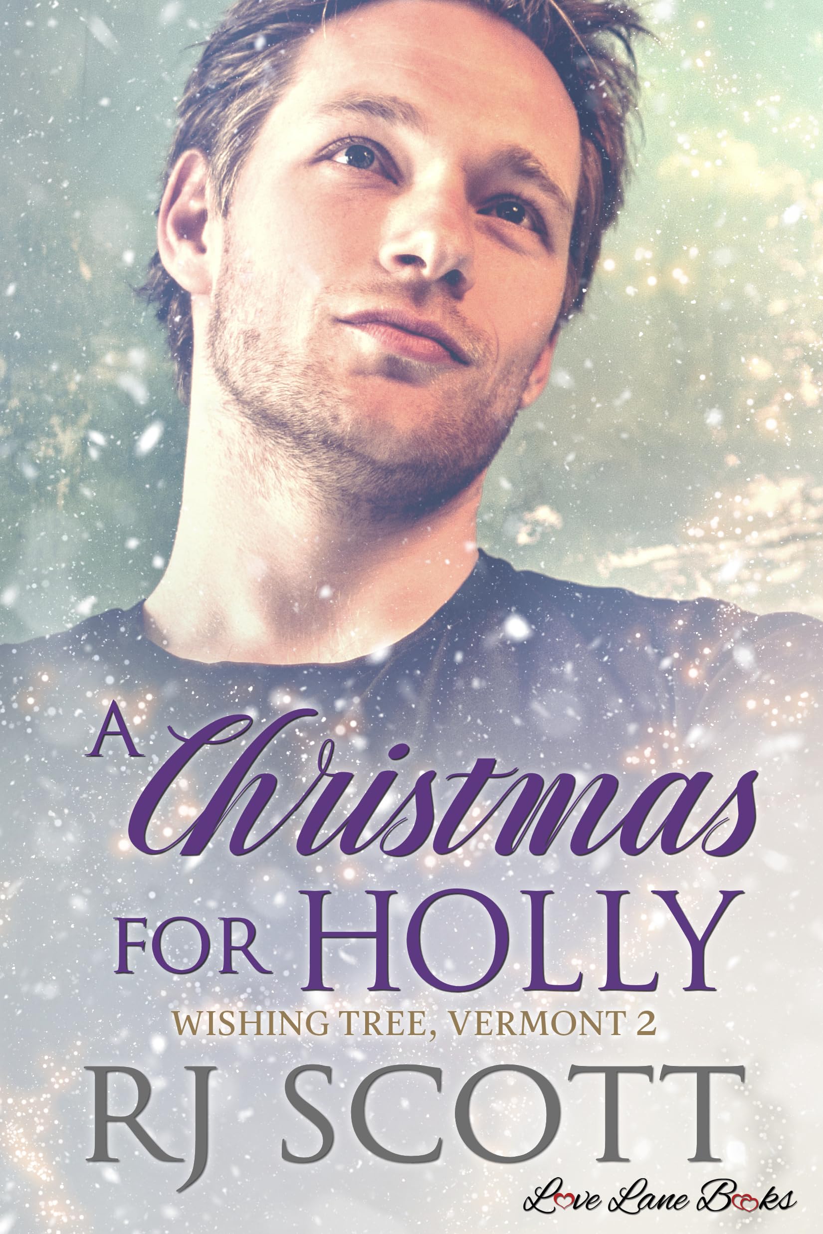 A Christmas For Holly (Wishing Tree Vermont Book 2)