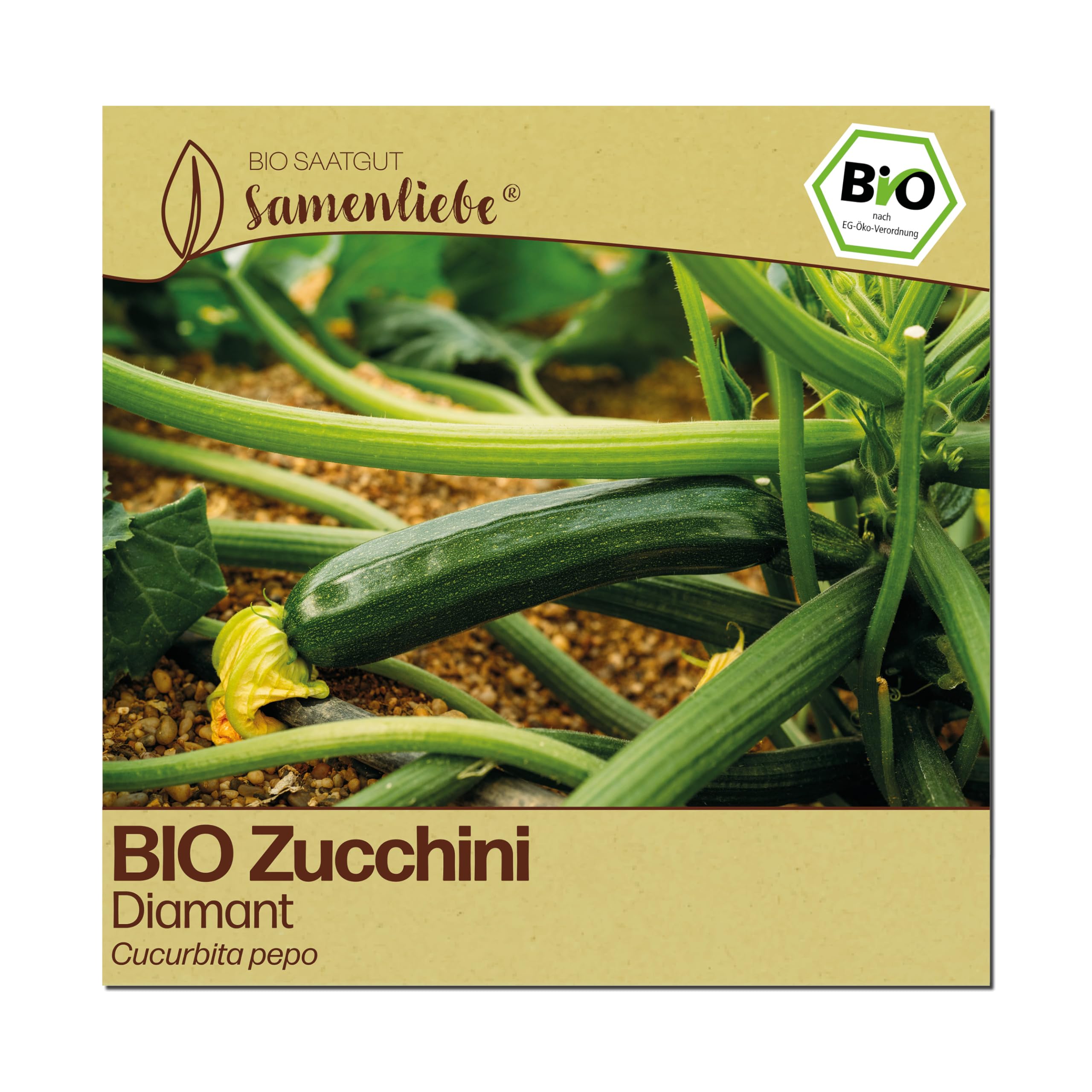 Samenliebe BIO Zucchini Samen | Diamant - glatte & frühe Sorte - samenfestes BIO Saatgut