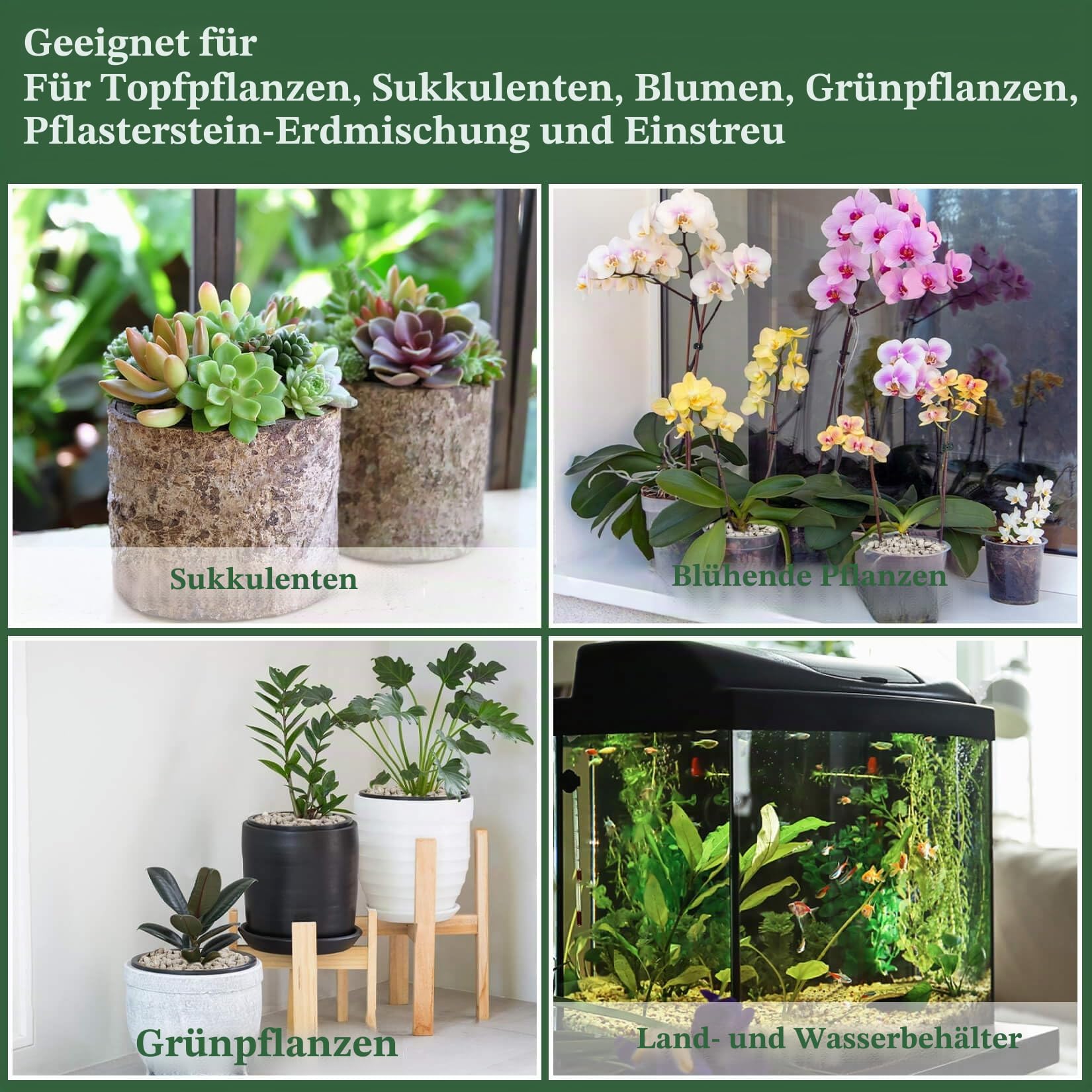 Sukh Grauer Bimsstein – Bimsstein für Pflanzen, Sukkulenten, Kakteen, Bonsai, Orchideen, Bodenverbesserungsmittel, 410 g