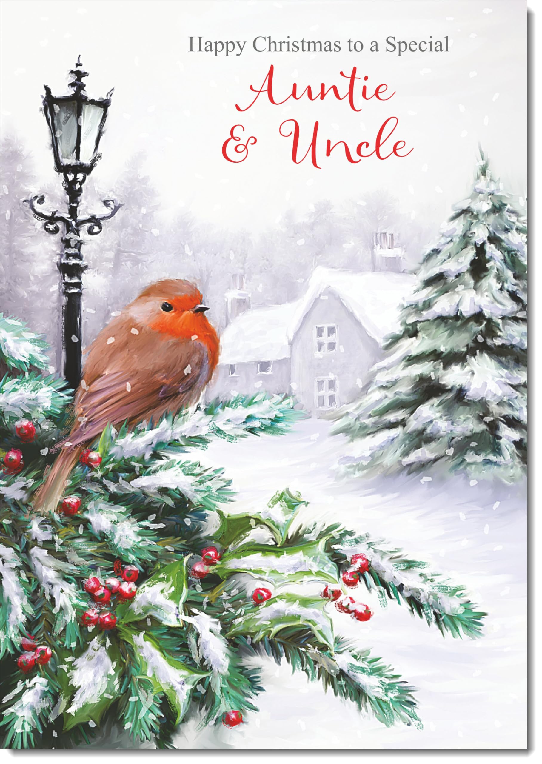 doodlecards Auntie and Uncle Christmas Card Robin by Lamp Large A4 Size Christmas Card for Auntie & Uncle with Plain Envelope