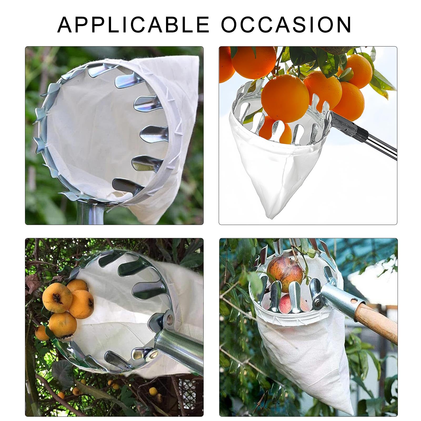 Herramienta de recolección de frutas extensible con varilla de acero inoxidable y bolsa de almacenamiento profesional para jardineros domésticos