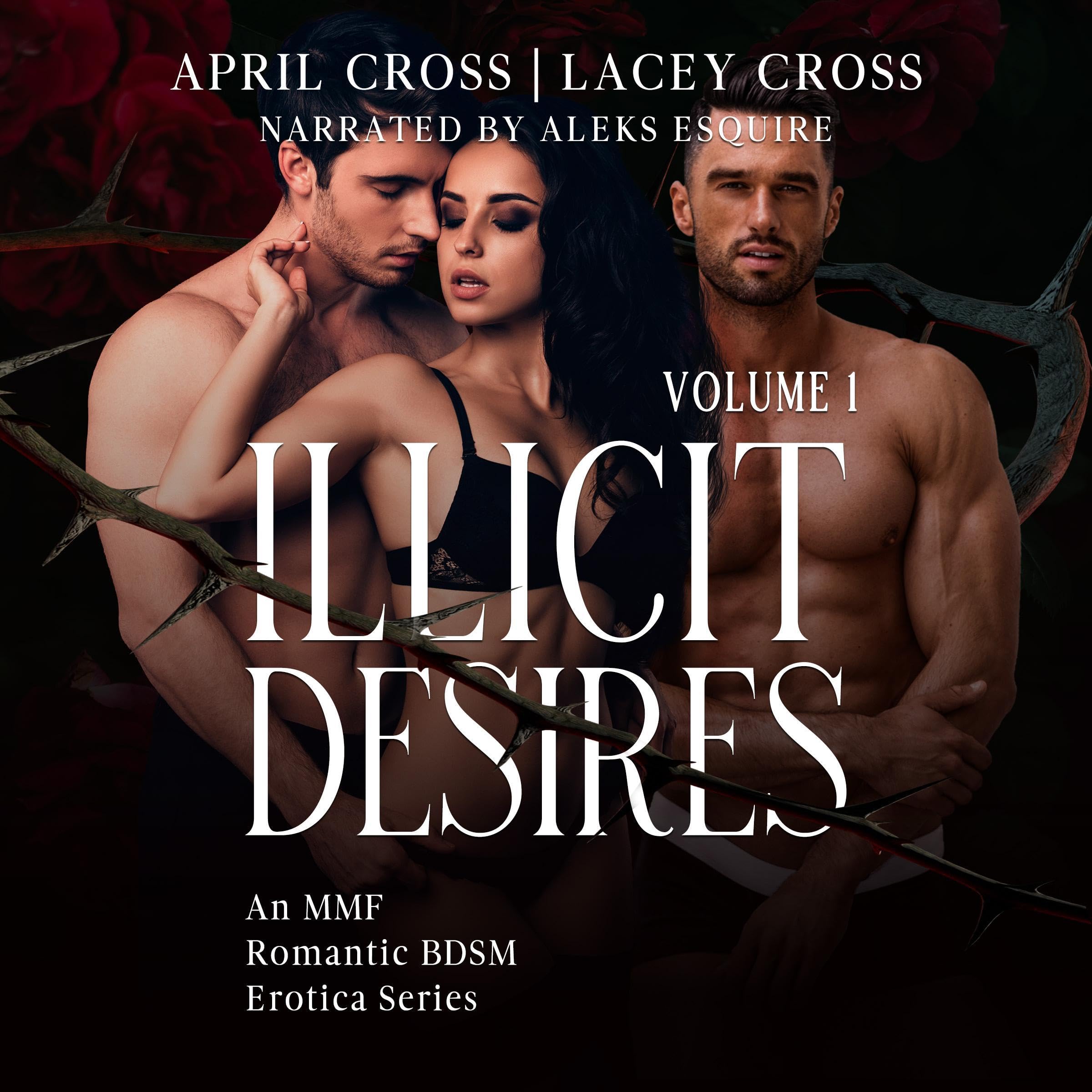 Illicit Desires: Volume 1
