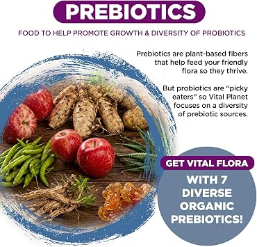 Vital Planet - Vital Flora Probiotics for Women Over 55 Daily Shelf Stable Probiotic 60 Billion CFU, 60 Diverse Strains, 7 Organic Prebiotics, Immune Support and Digestive Health 60 Capsules