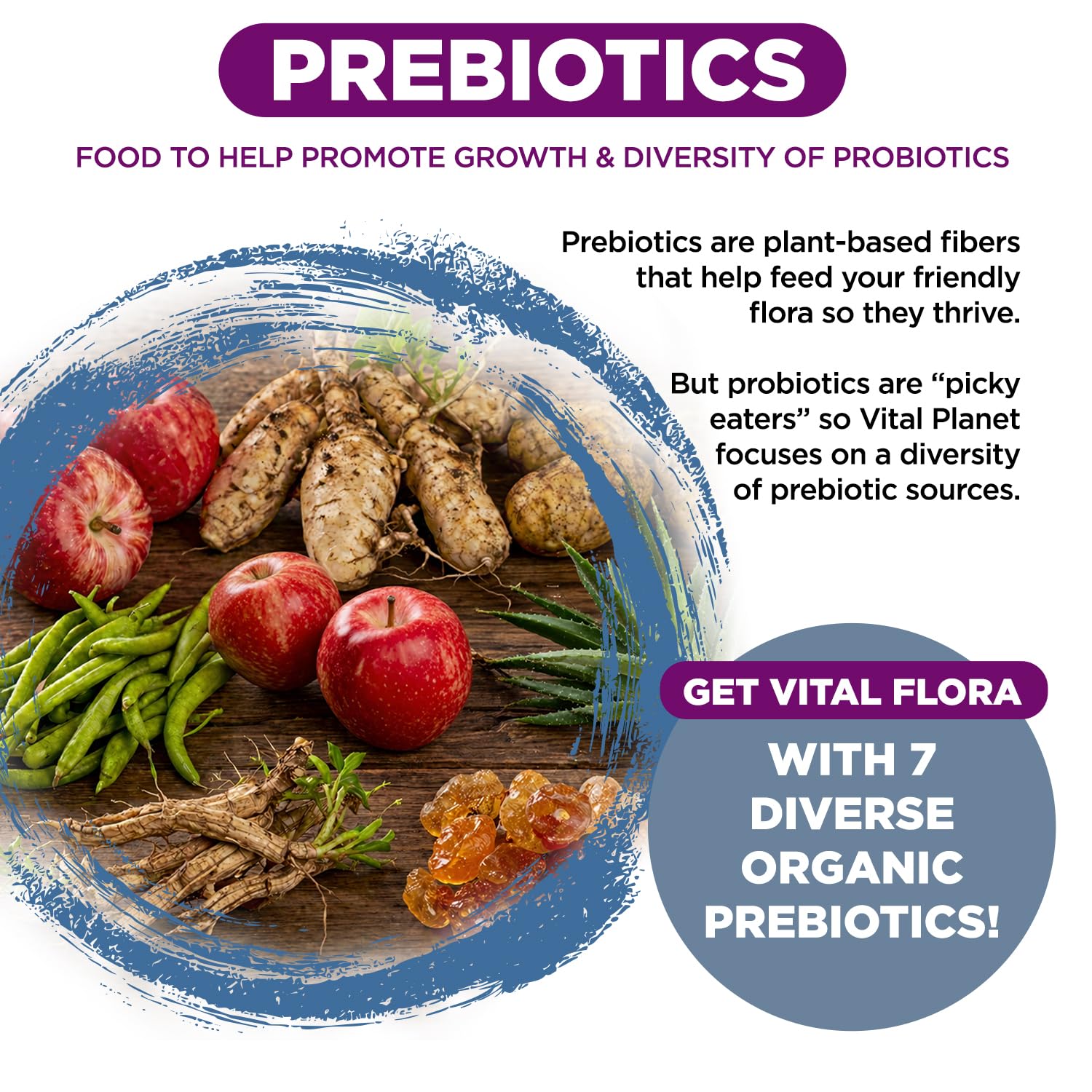 Vital Planet - Vital Flora Probiotics for Women Over 55 Daily Shelf Stable Probiotic 60 Billion CFU, 60 Diverse Strains, 7 Organic Prebiotics, Immune Support and Digestive Health 60 Capsules — Amazon image 5