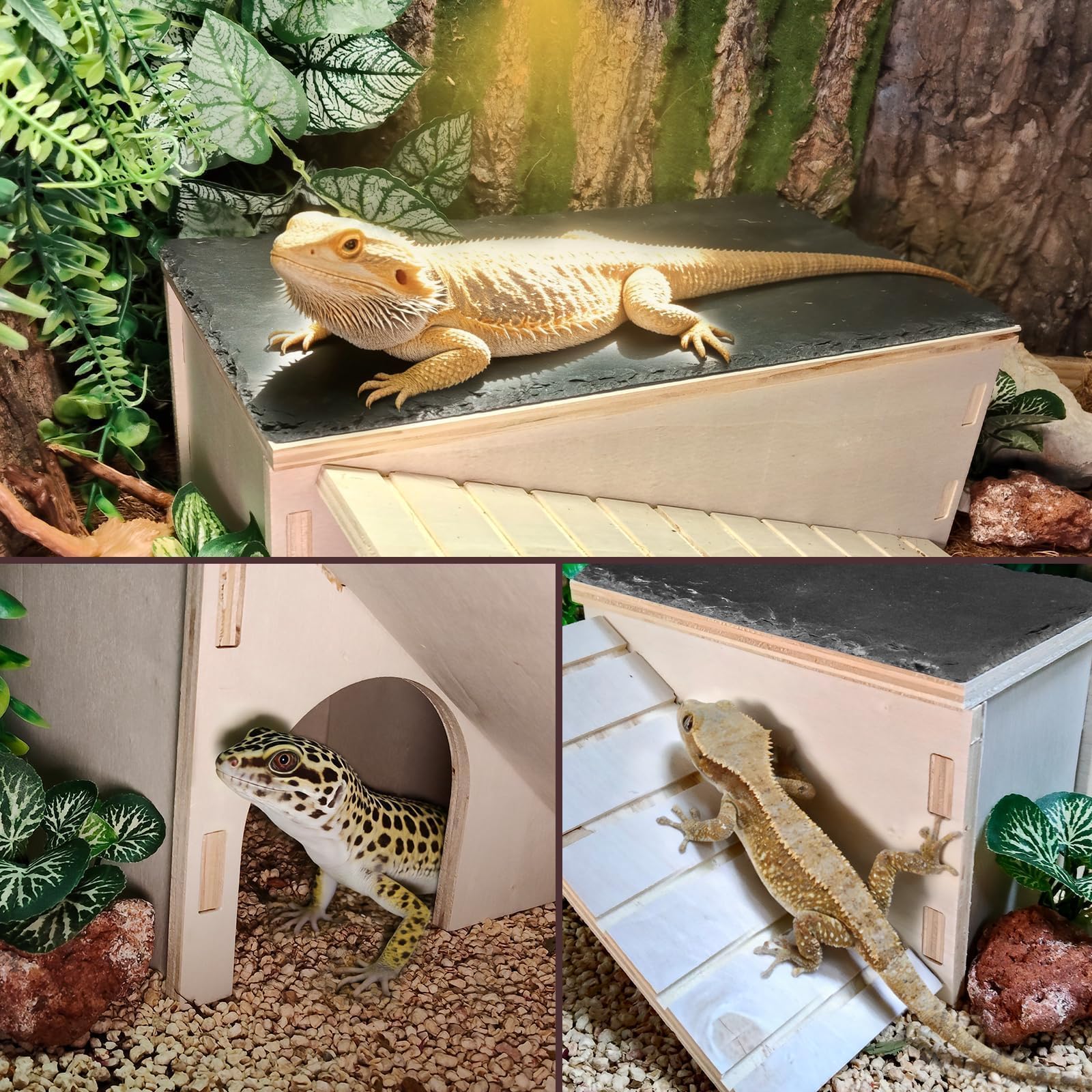 Piattaforma di drago barbuto, pelle di geco in legno con rampa da arrampicata, nascondiglio per rettili in legno, accessori per terrari con roccia crogiolata per draghi barbuti, gechi, lucertole