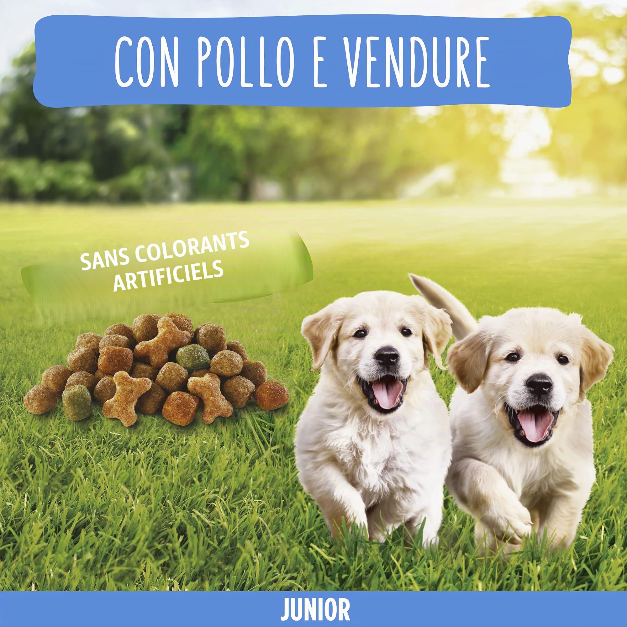 Purina Friskies Junior Croquettes Chiens avec Poulet, Légumes et Lait, 6 Boîtes de 1,5 kg