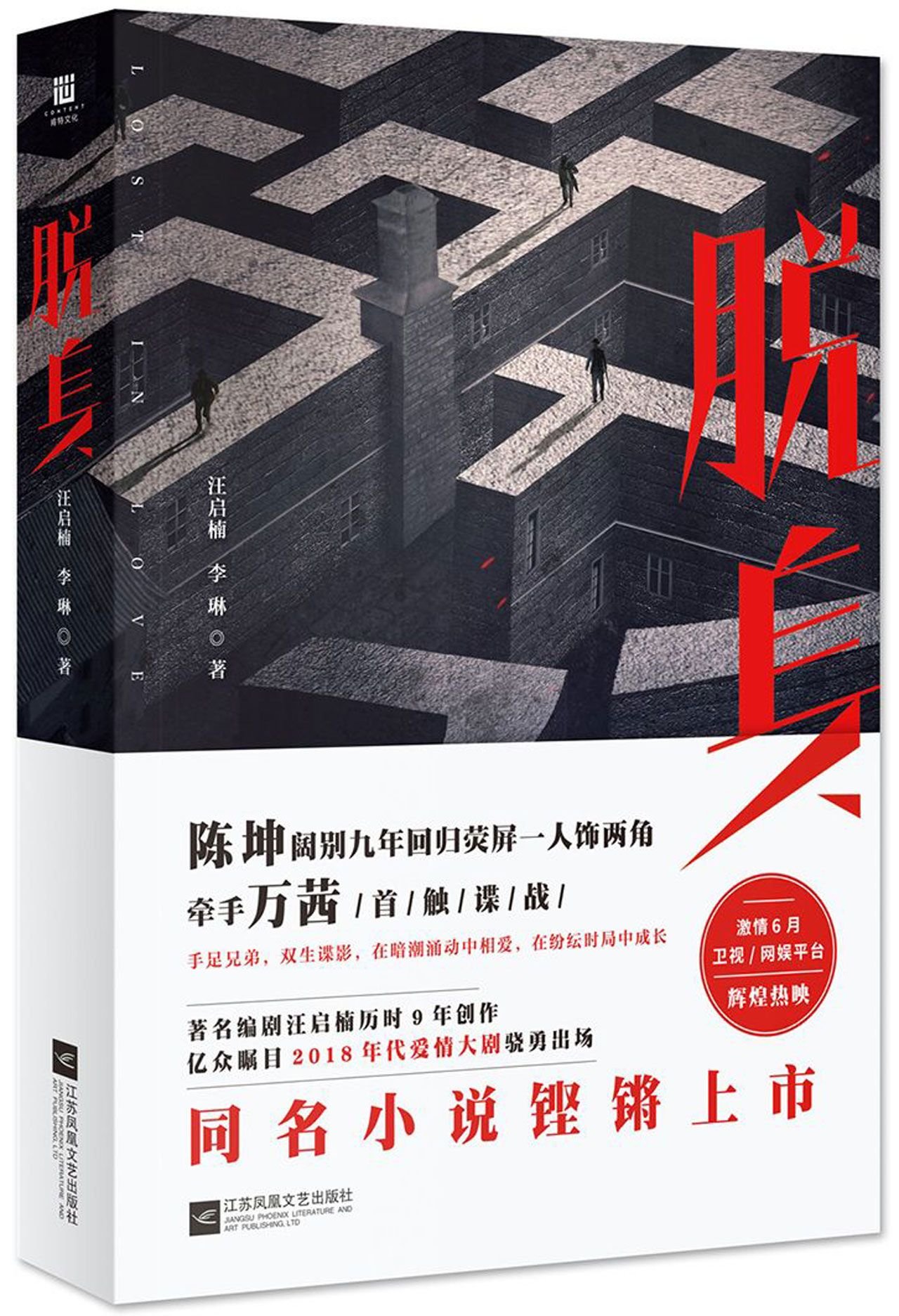 Lost In Love (Chinese Edition)