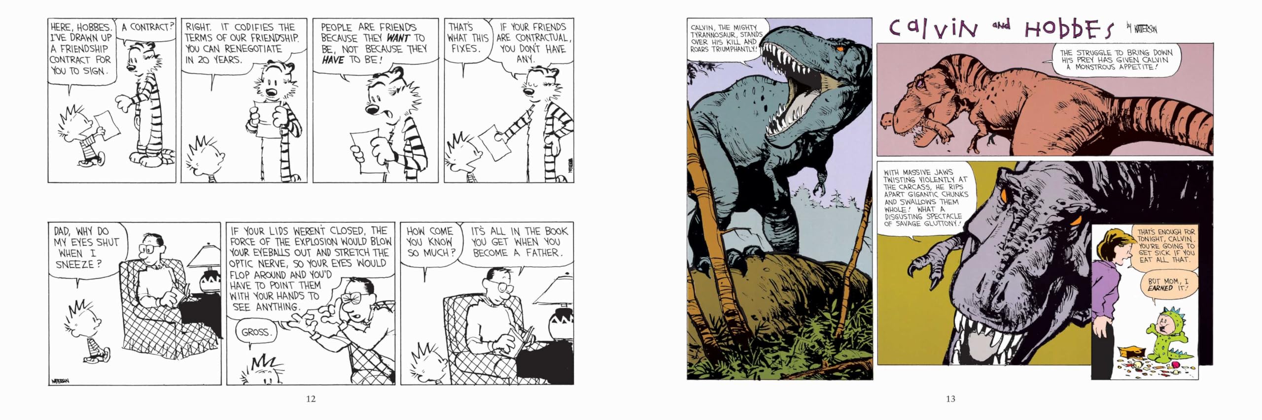Calvin and Hobbes Portable Compendium Set 6: Volume 6