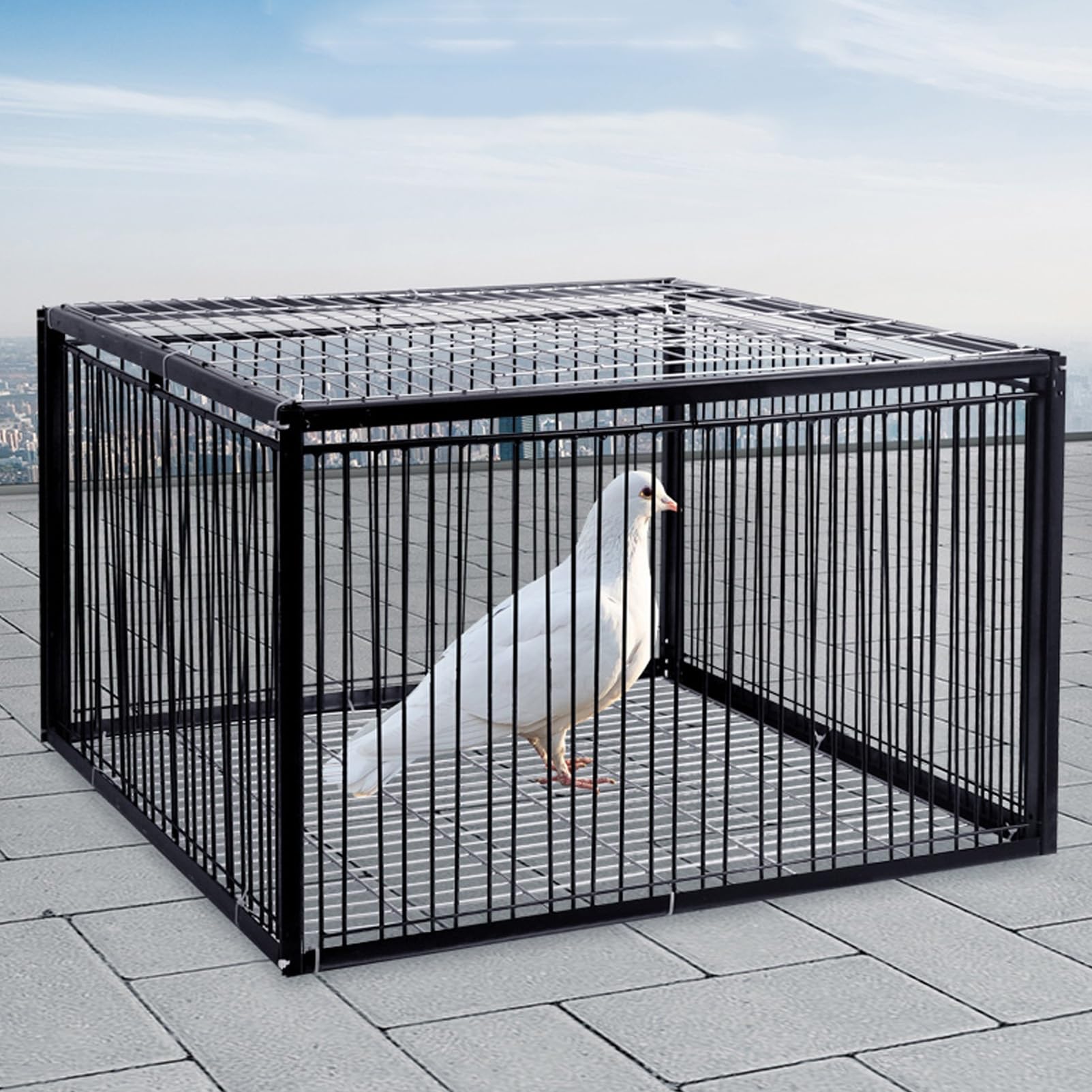 Jaula para pájaros para Palomas con Entrada unidireccional Jaula Trampa para pájaros y Pollos al Aire Libre Jaula Trampa para Animales Vivos Gallinero portátil Soldadura de Metal(60x40x26cm)