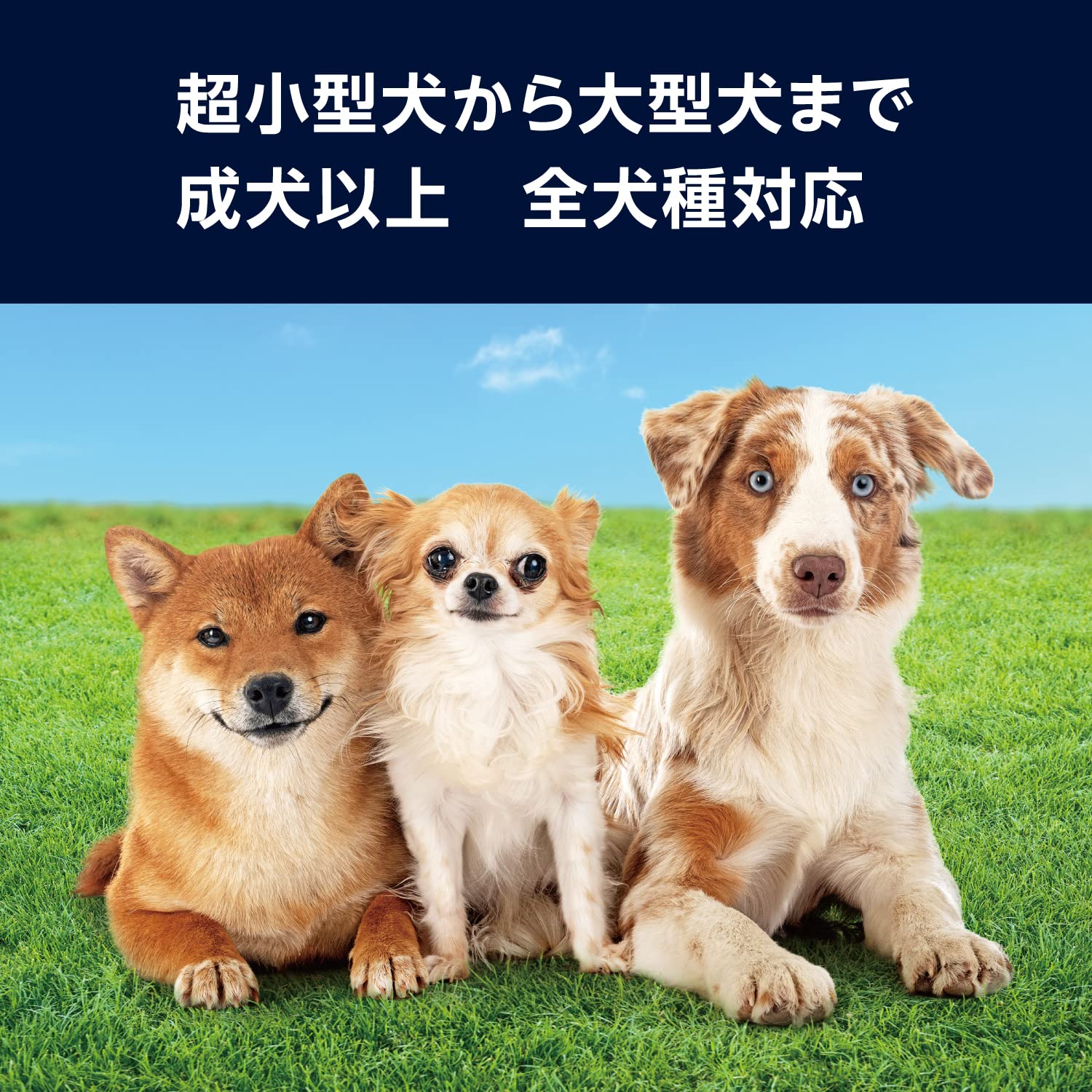 Amazon | by Amazon 犬のおやつ 鶏ささみ ふりかけ チーズ 400g 大容量