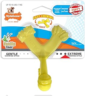 Nylabone Textured Chew