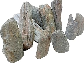 Natural Petrified Wood – Fossil Wood Decorative Stones – Ancient Silicified Rock for Terrariums, Garden, Fishless Aquarium & Craft (1 Kg)
