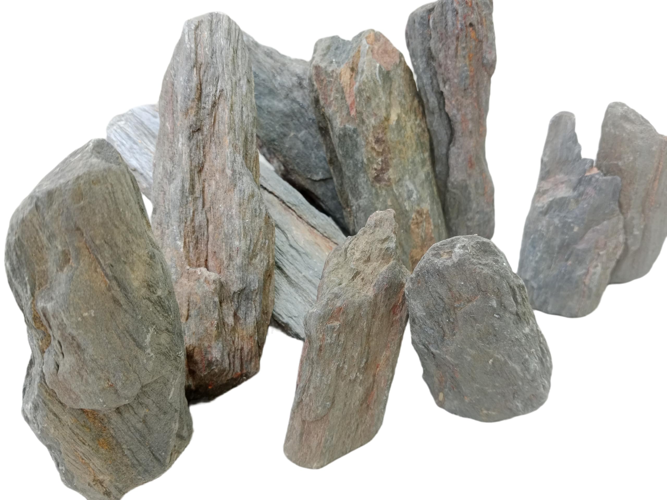 RUKDA® Natural Petrified Wood – Fossil Wood Decorative Stones – Ancient Silicified Rock for Terrariums, Garden, Fishless Aquarium & Craft (1 Kg)-image-12