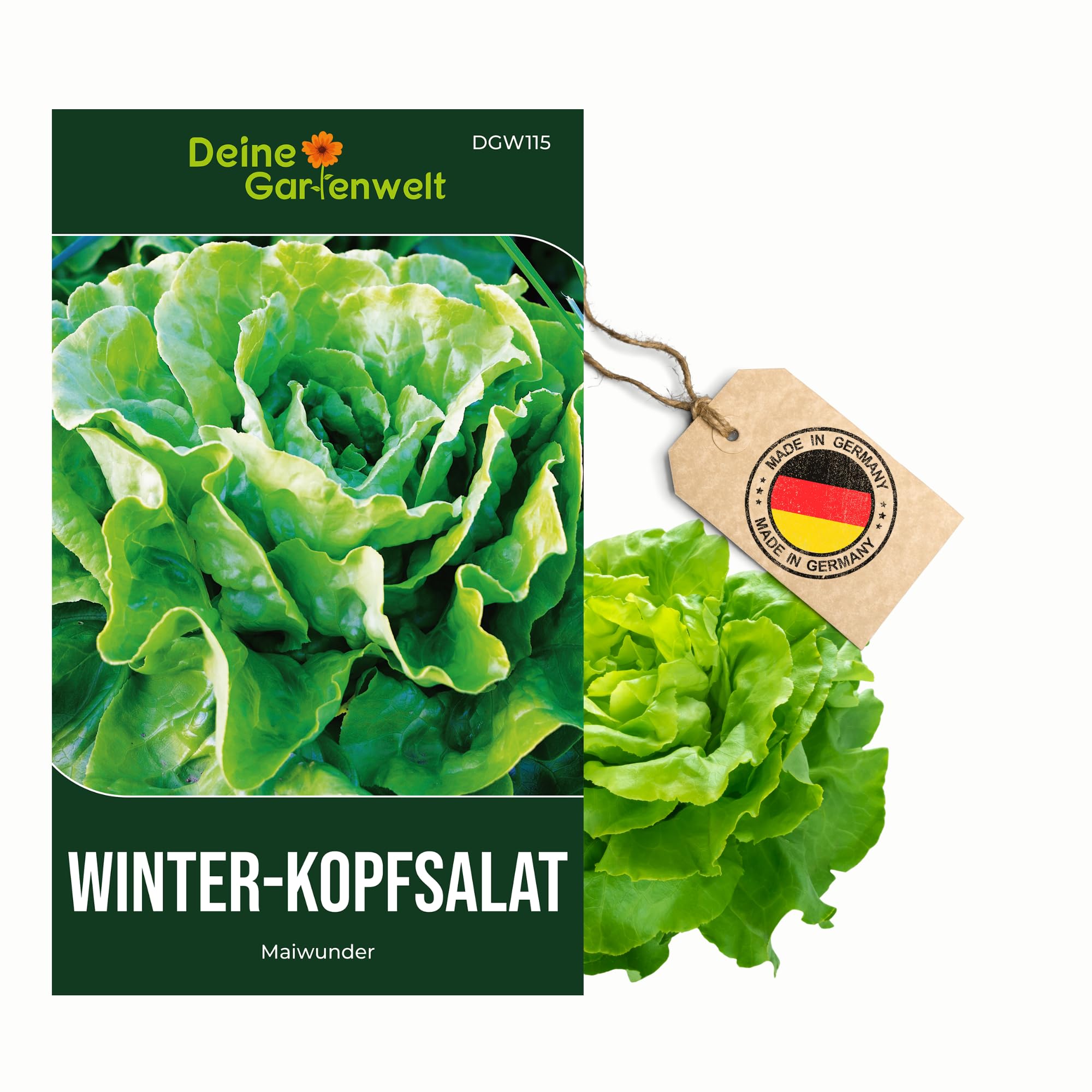 Winter-Kopfsalat Maiwunder Samen - Lactuca sativa - Winter-Kopfsalatsamen - Gemüsesamen - Saatgut für 500 Pflanzen