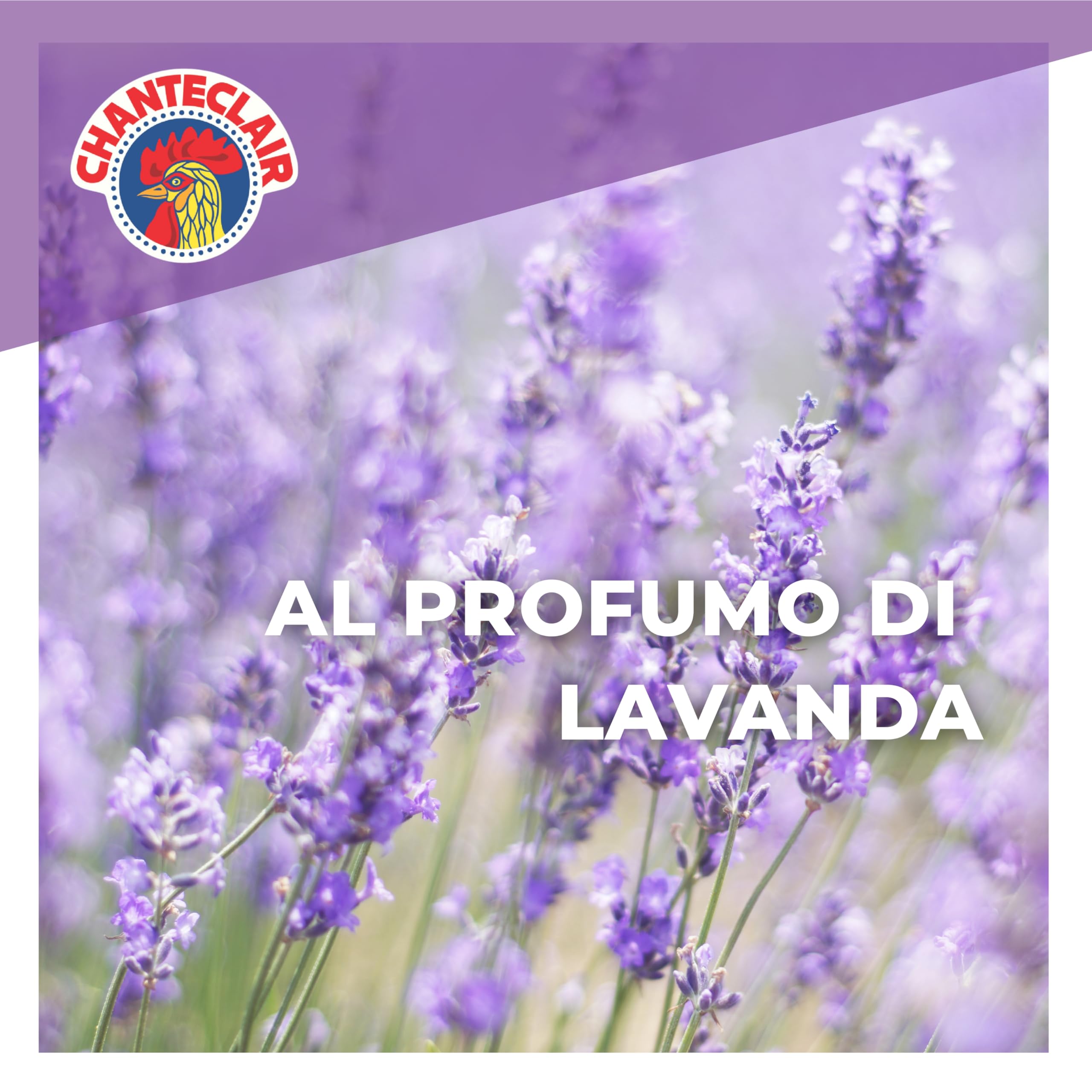 Chanteclair - Sgrassatore Universale Formato Ricarica, Superpotente, Profumo di Lavanda, Formula Originale - 12 Flaconi da 750 ml