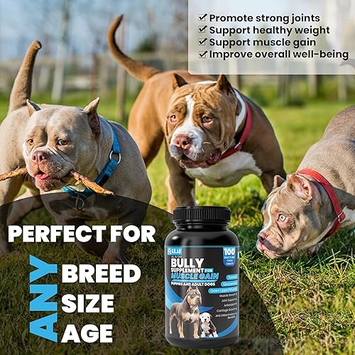 Miniatura 4 de Ganador de peso para perros  Suplemento para el crecimiento muscular de 100 unidades  Suplemento de crecimiento muscular para perros, cachorros y